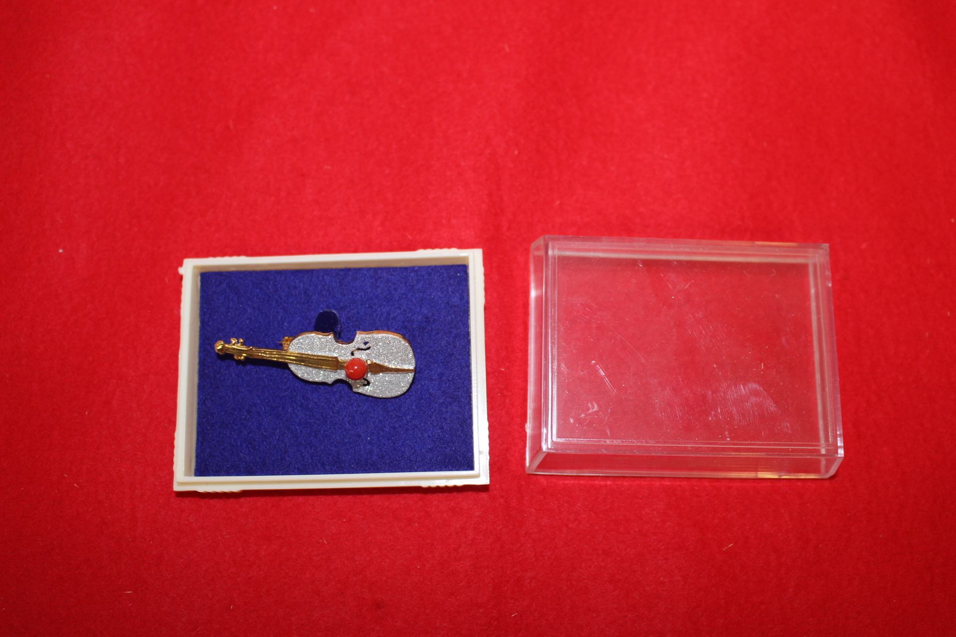 바이올린 산호가 장식된 브롯지