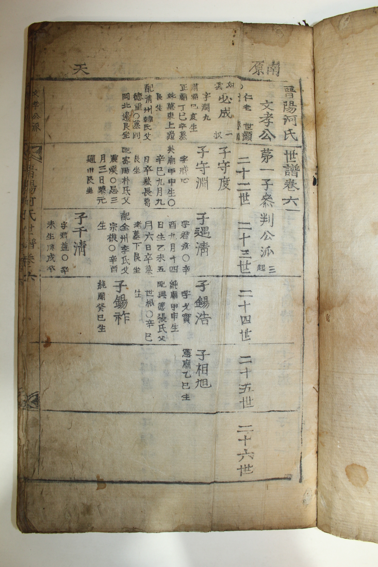 1857년(丁巳年) 목활자본 진양하씨세보(晋陽河氏世譜) 6권6책완질