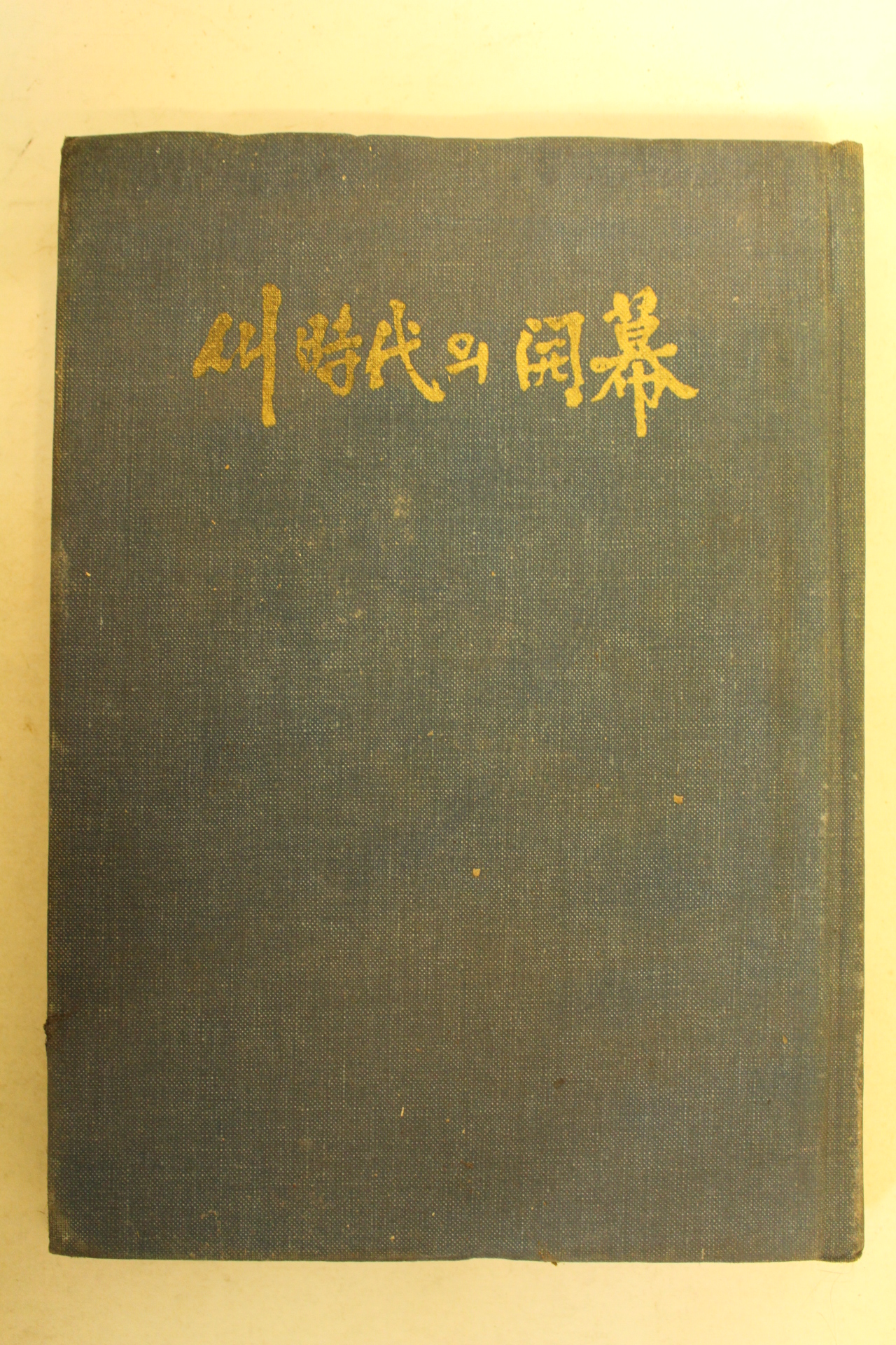 1981년 새시대의 개막