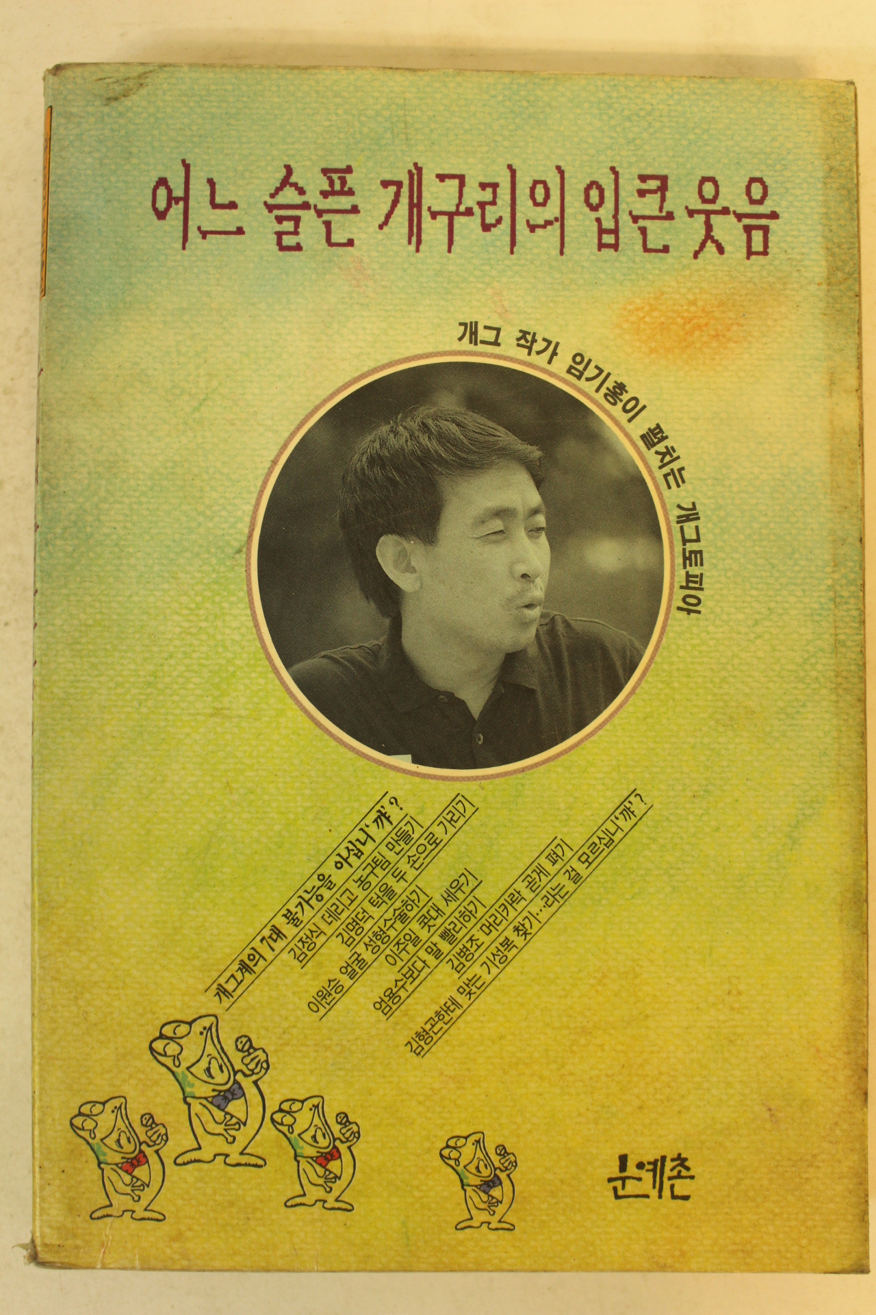 1991년 임기홍 어느 슬픈 개구리의 입큰웃음