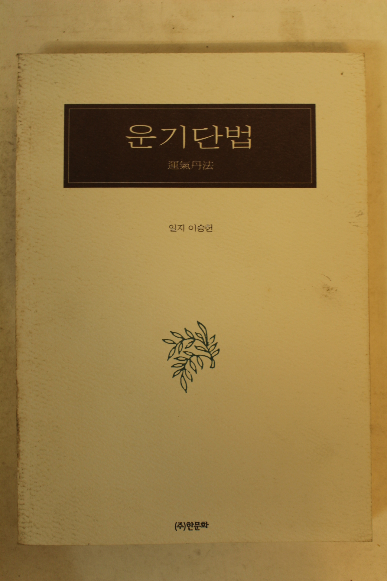 1996년 이승헌 운기단법
