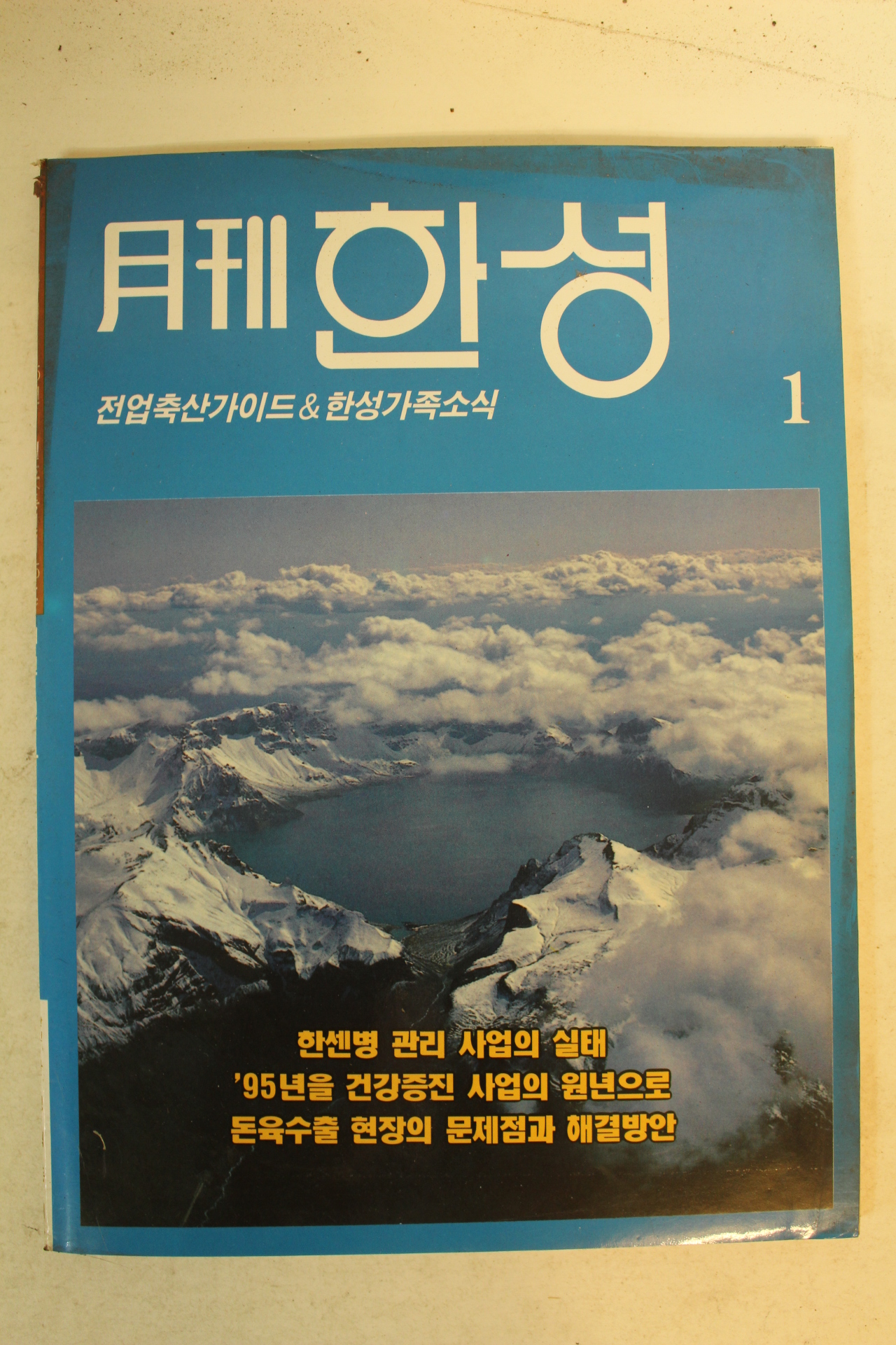 1995년 월간한성 1월호