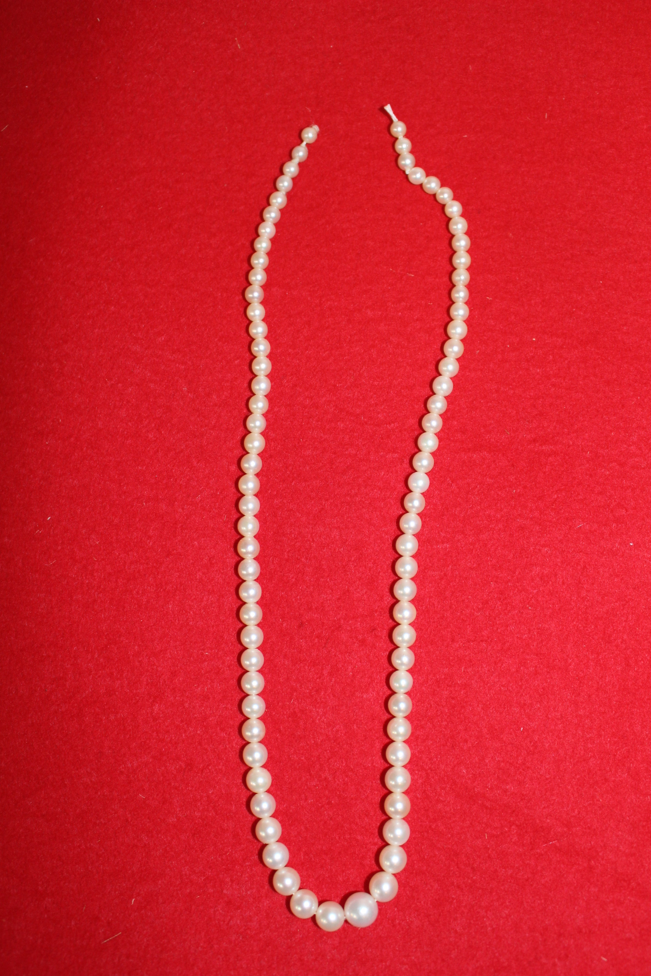 천연진주 목걸이