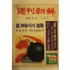 1982년 주간조선 2월14일자