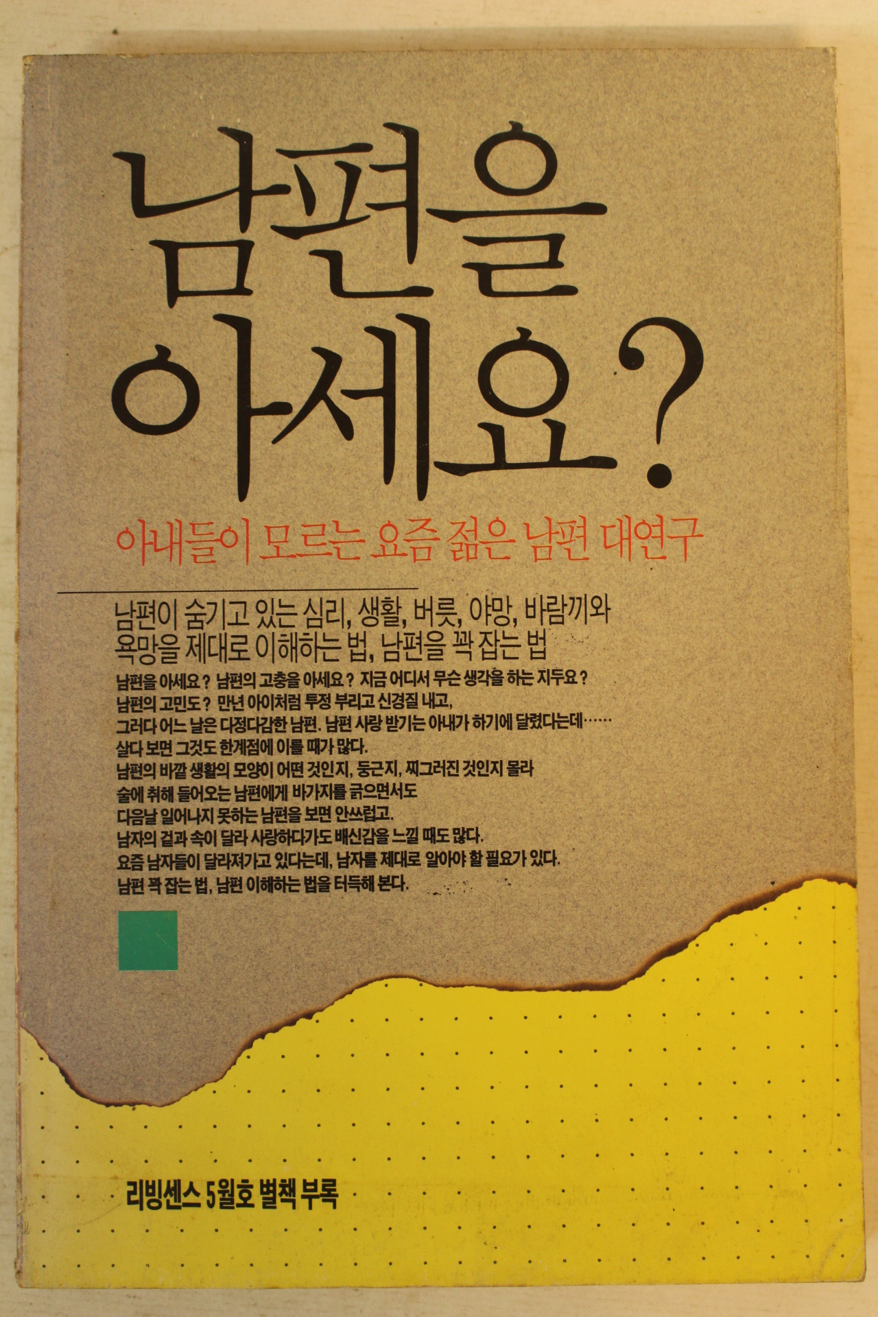 1991년 남편을 아세요