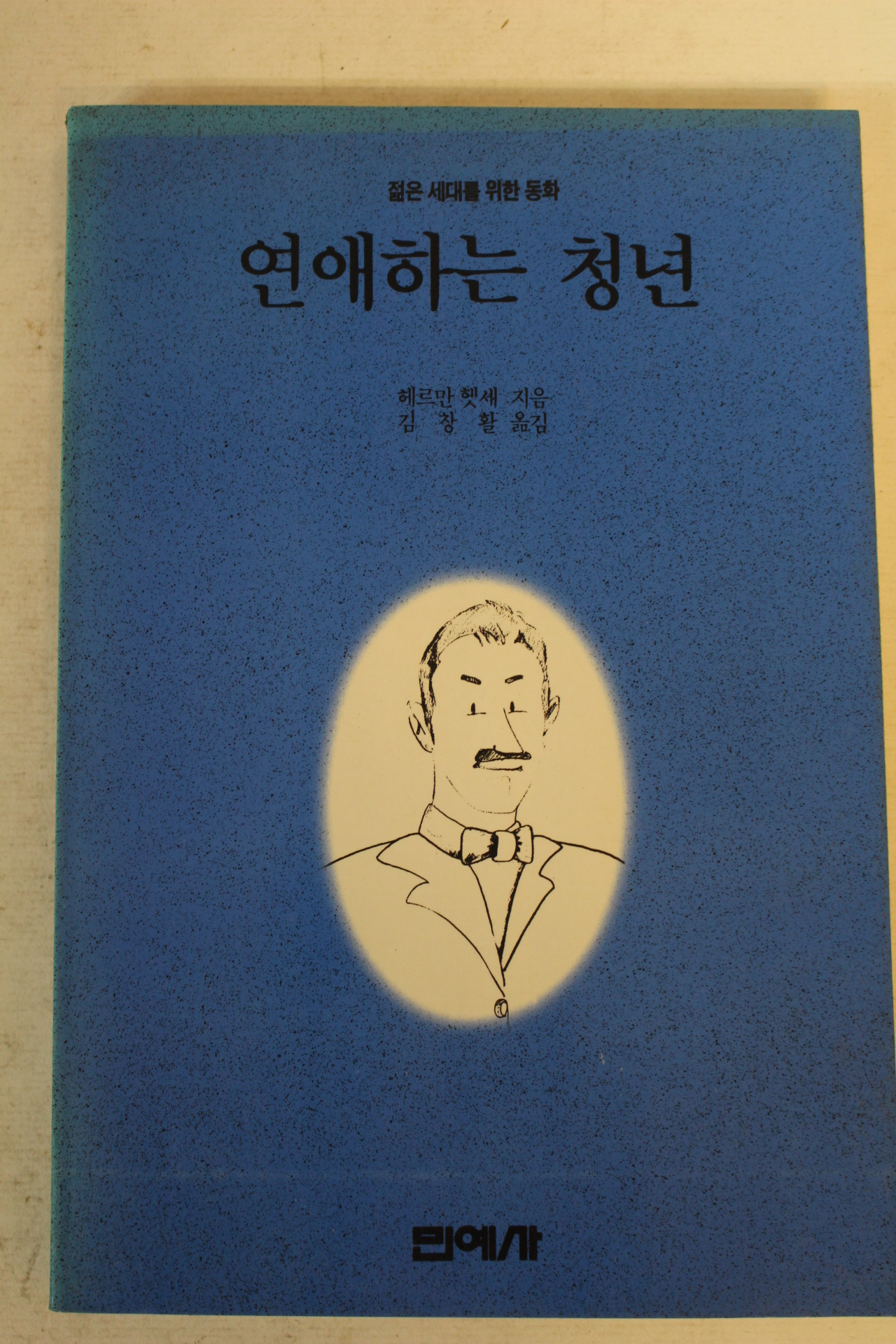 1990년 헤르만헷새 연애하는 청년