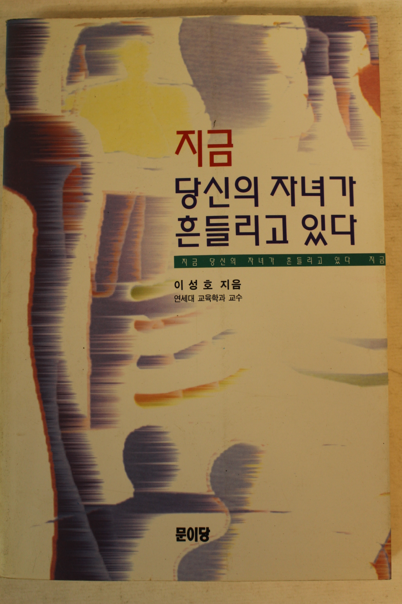 1994년 이성호 지금 당신의 자녀가 흔들리고 있다