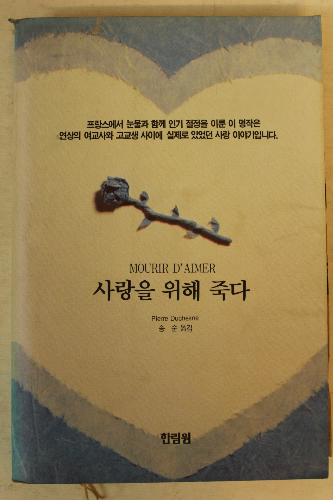 1993년 송순 사랑을 위해 죽다