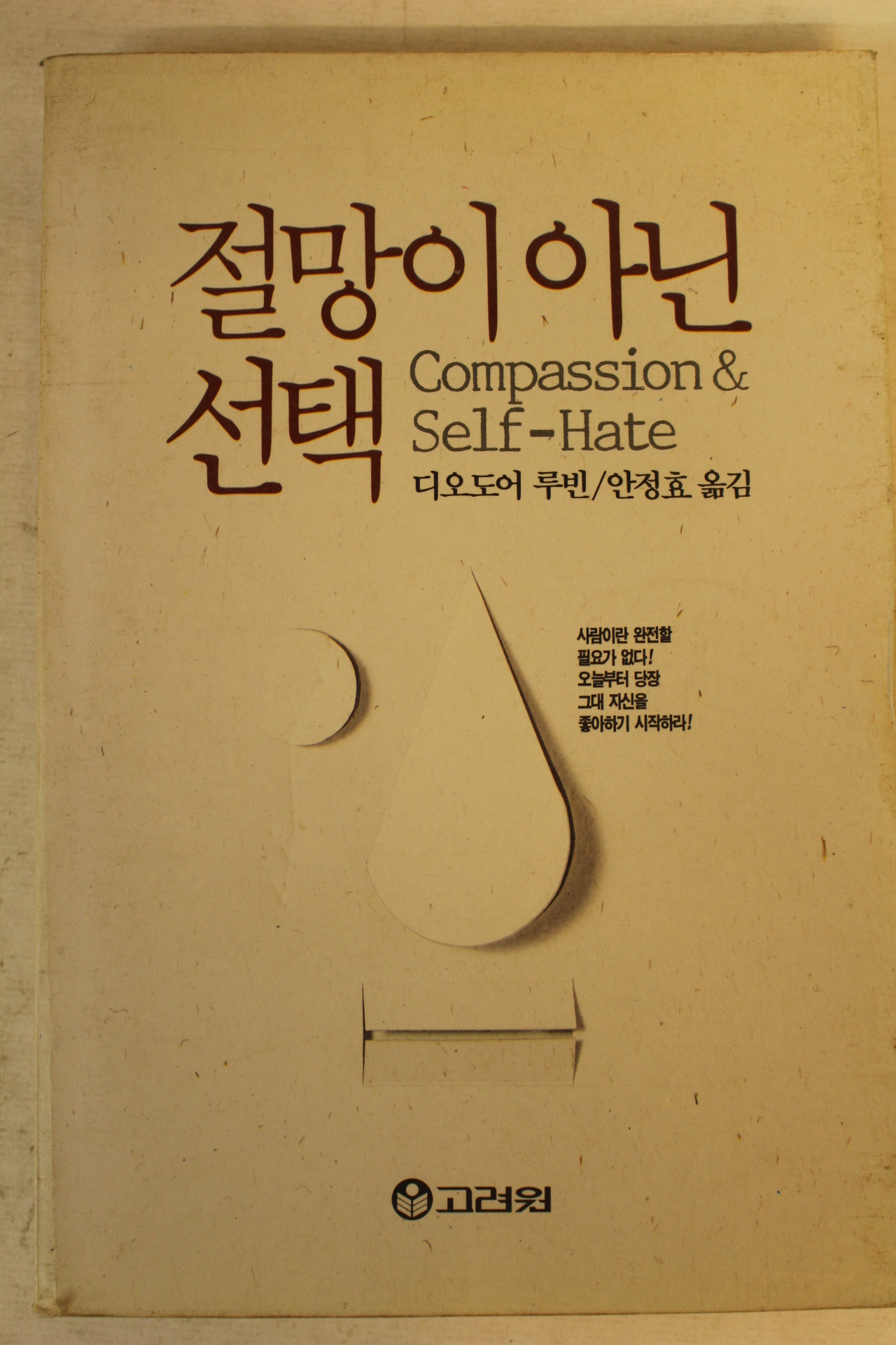 1990년 디오도어 루빈 절망이 아닌 선택
