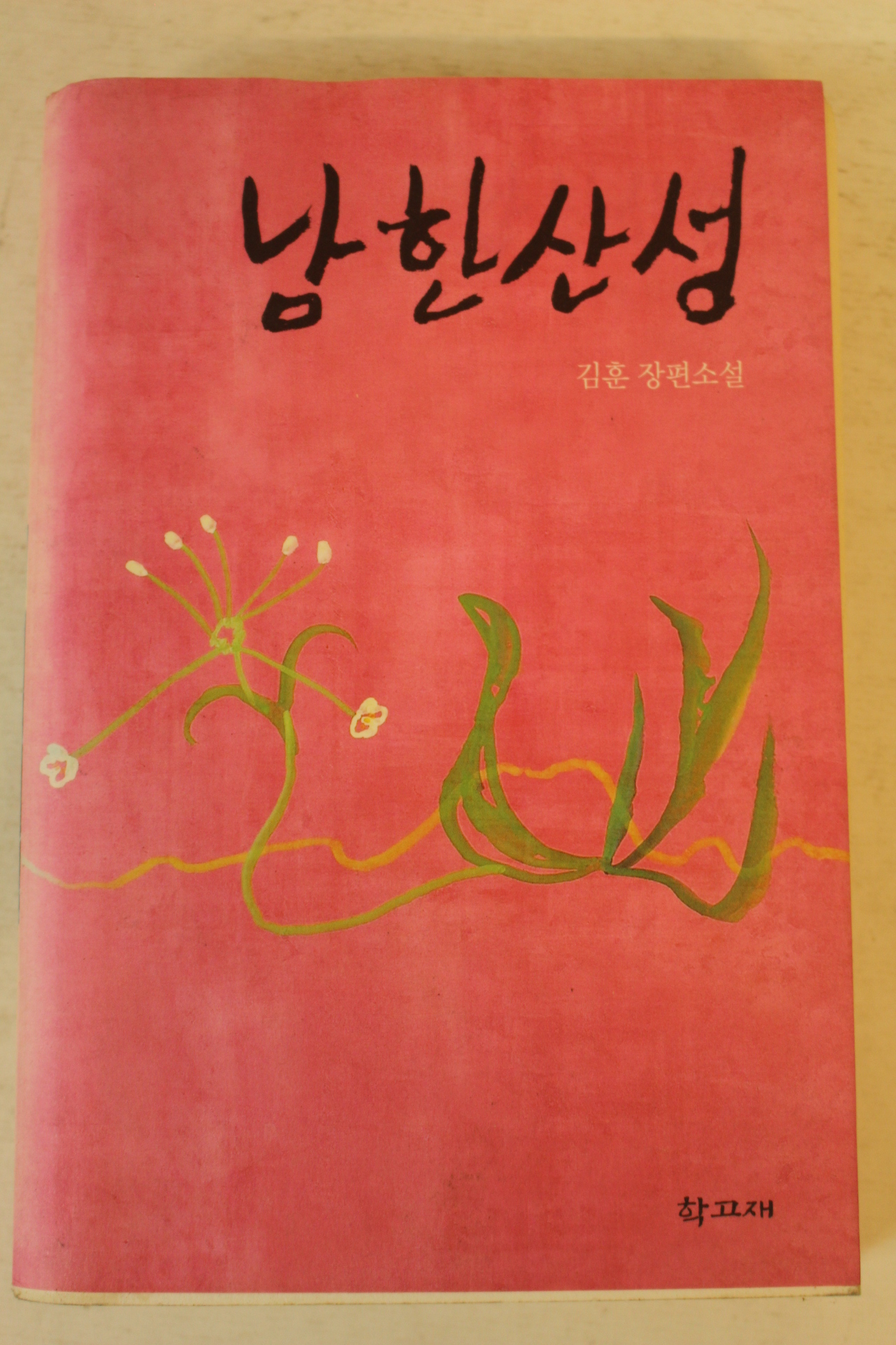 2007년 김훈장편소설 남한산성