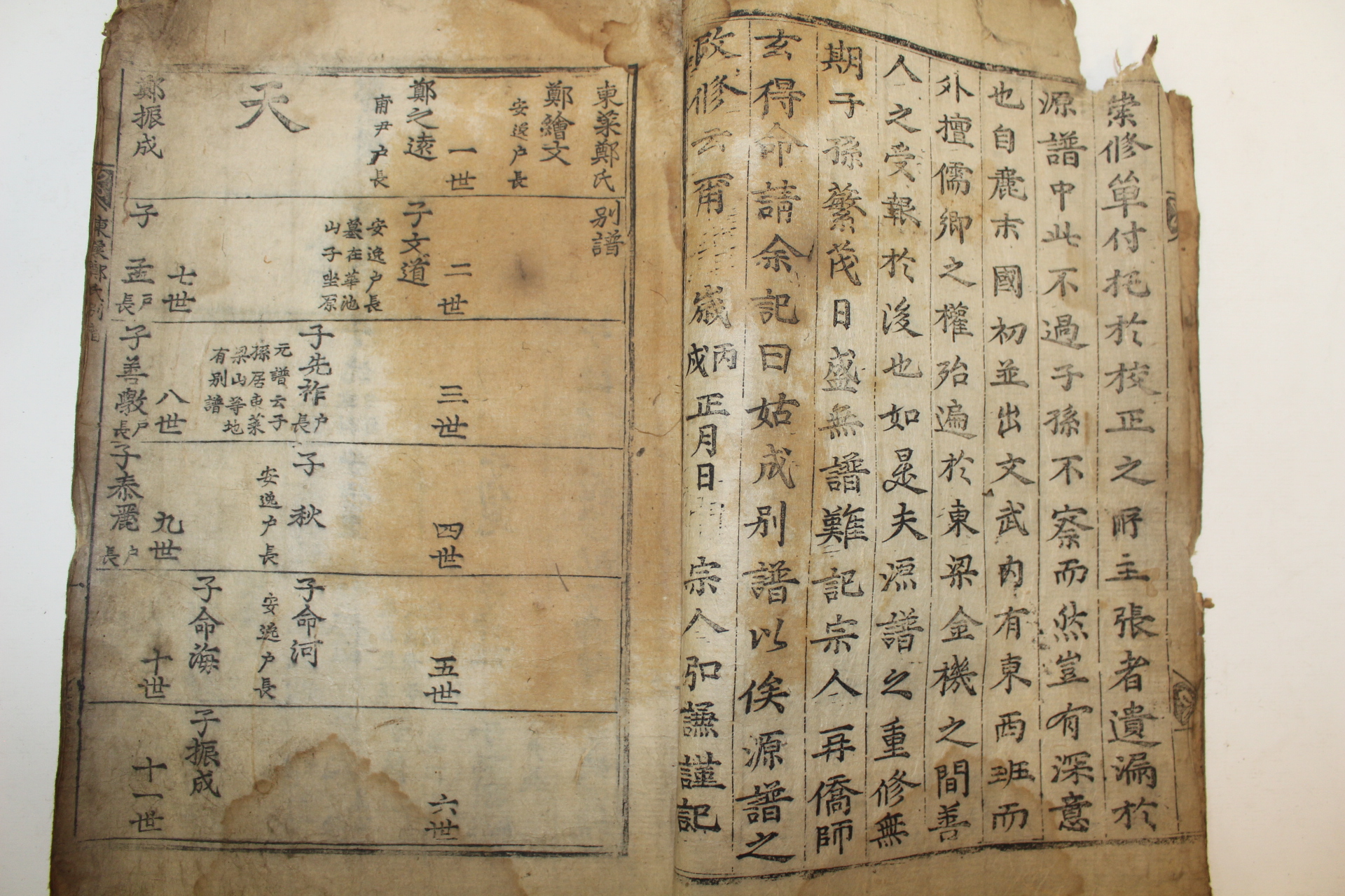 1766년 간행본 동래정씨별보(東萊鄭氏別譜) 1책완질