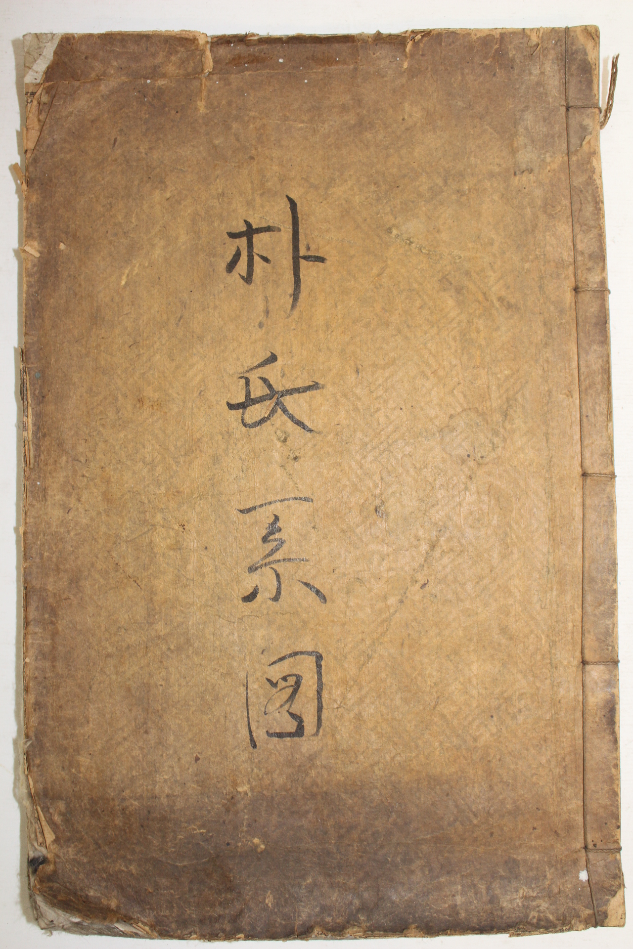 1922년 목활자본 신라선보(新羅璿譜) 1책완질