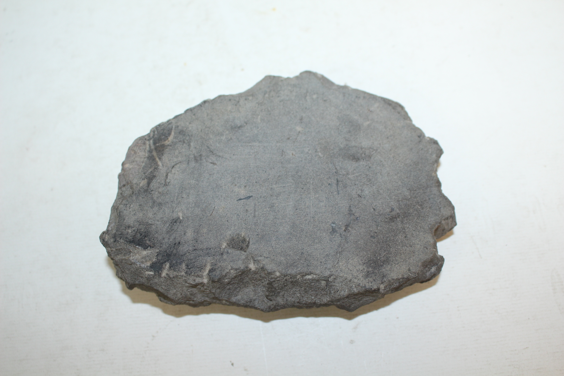 고생대 조개화석이 있는 돌로된 벼루
