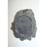 고생대 조개화석이 있는 돌로된 벼루