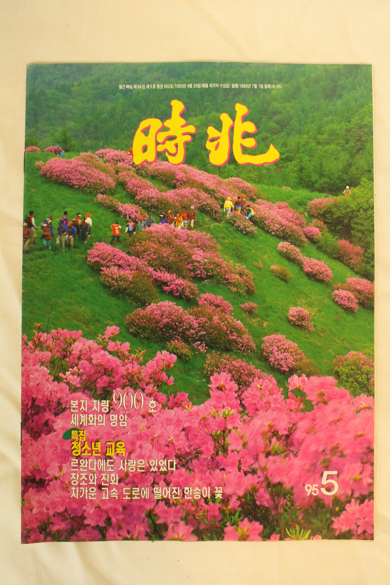 1995년 시북 5월호