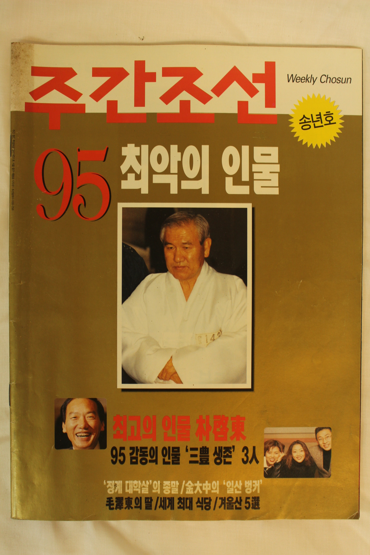 1995년 주간조선 95최악의 인물