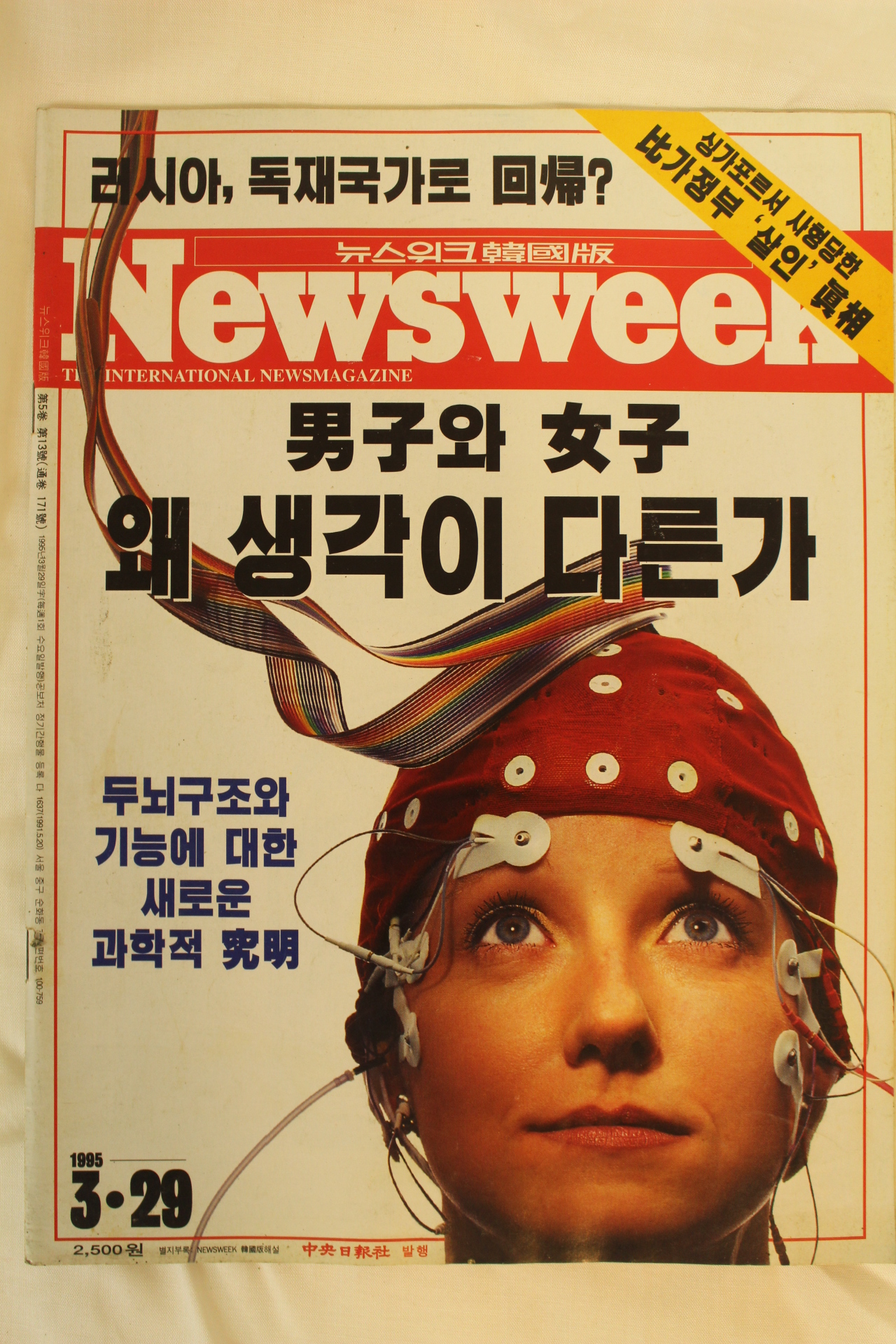 1995년 뉴스위크 3월29일자