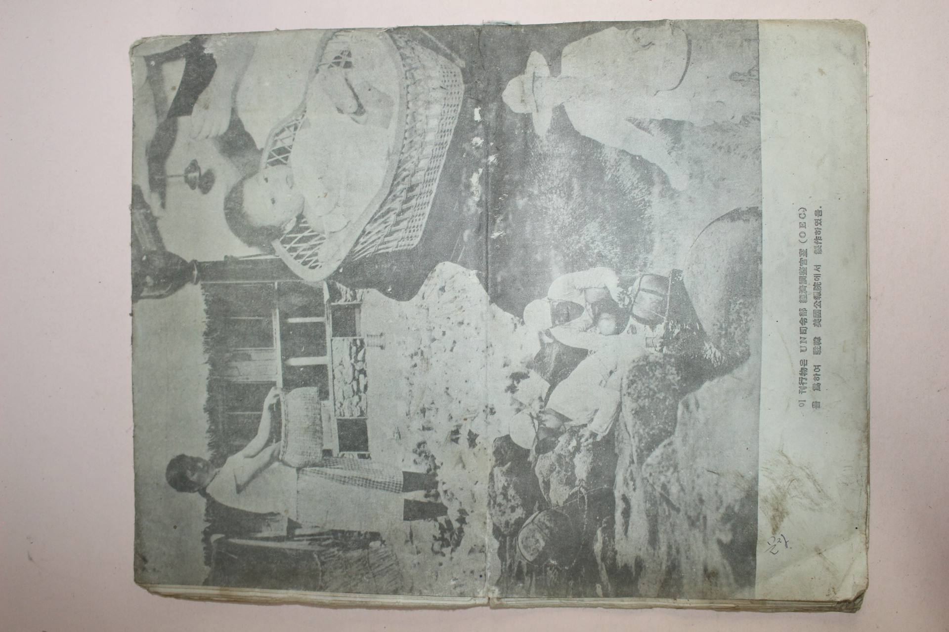 1950년대 미국공보원발행 신생활