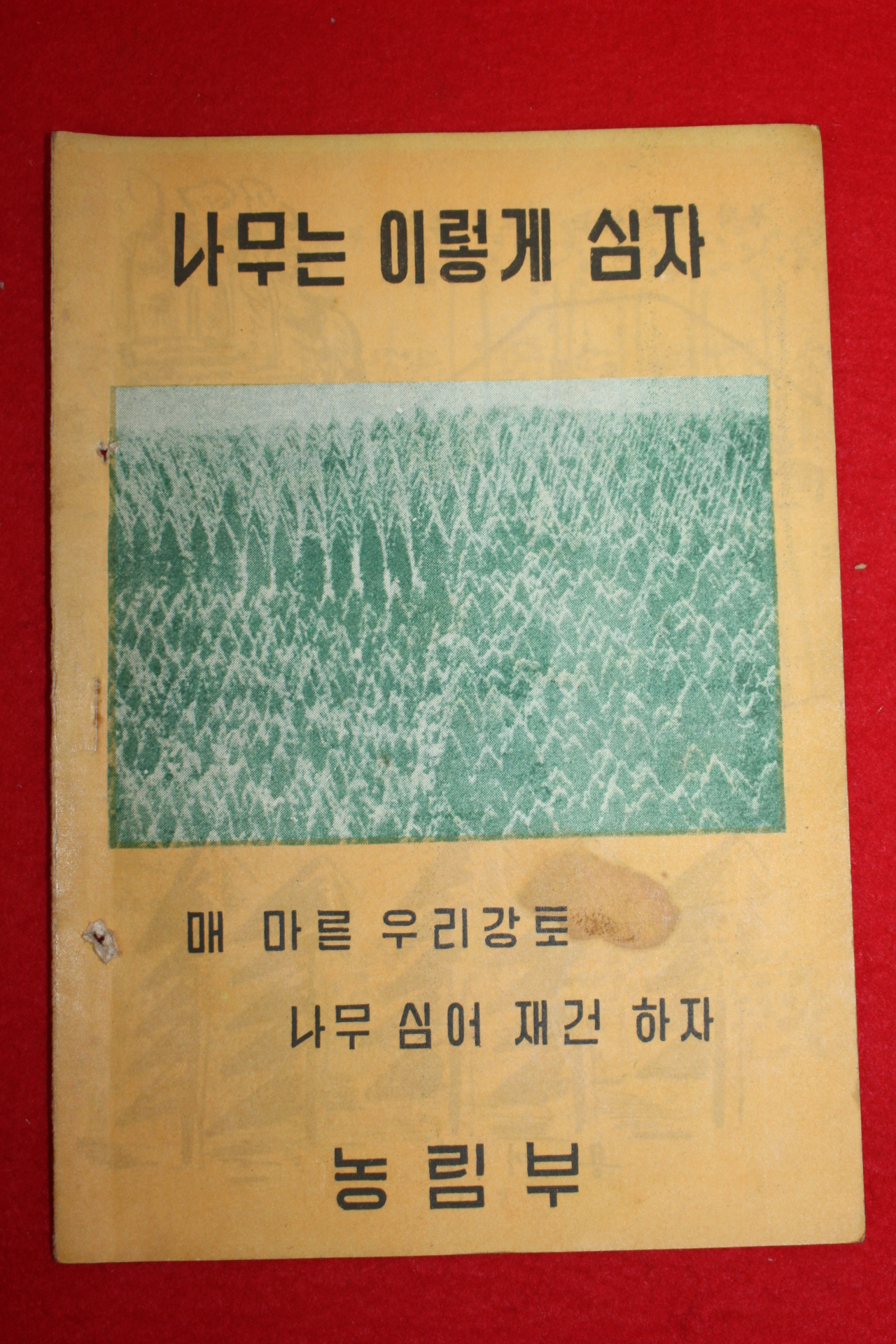 근대 농림부간행 나무는 이렇게 심자