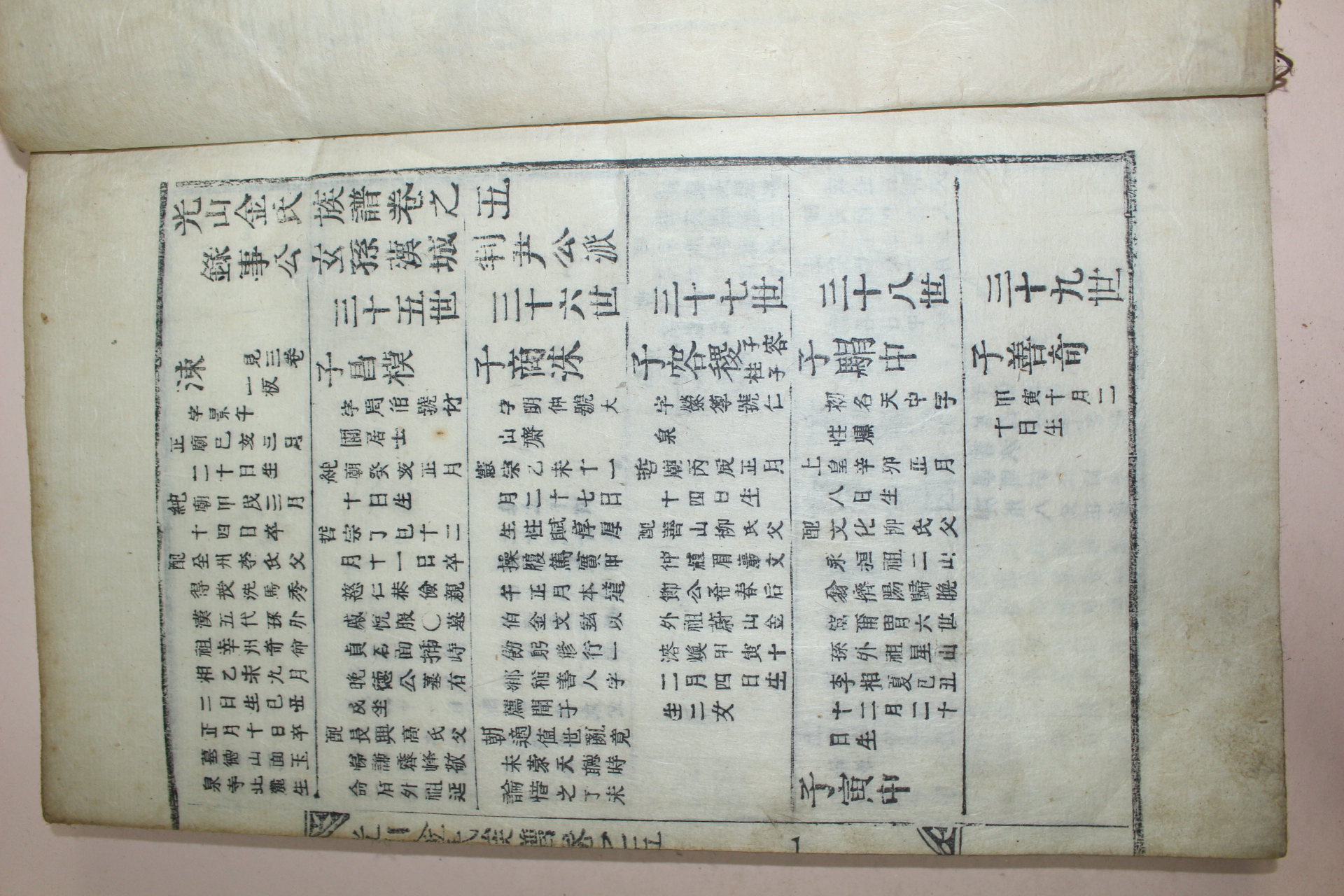 조선시대 목활자본 광산김씨족보(光山金氏族譜)권3,5  2책