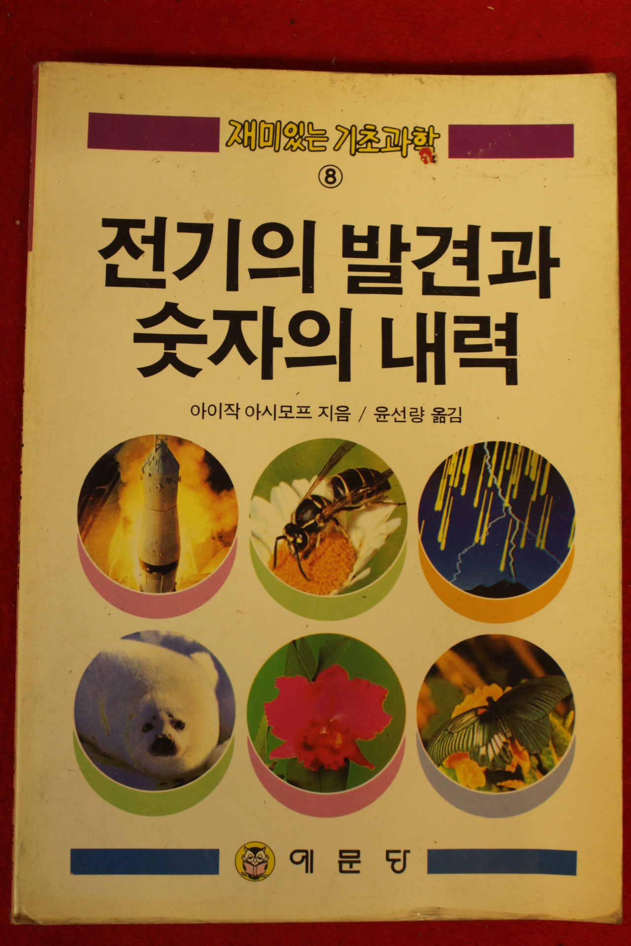 1989년 전기의 발견과 숫자의 내력