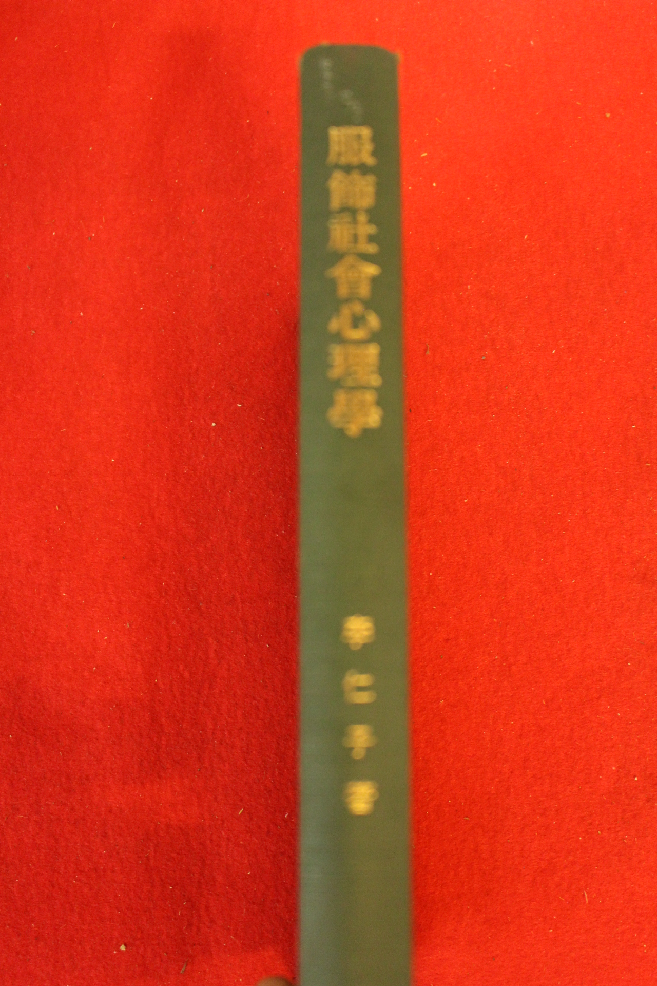 1996년 이인자 복식사회심리학