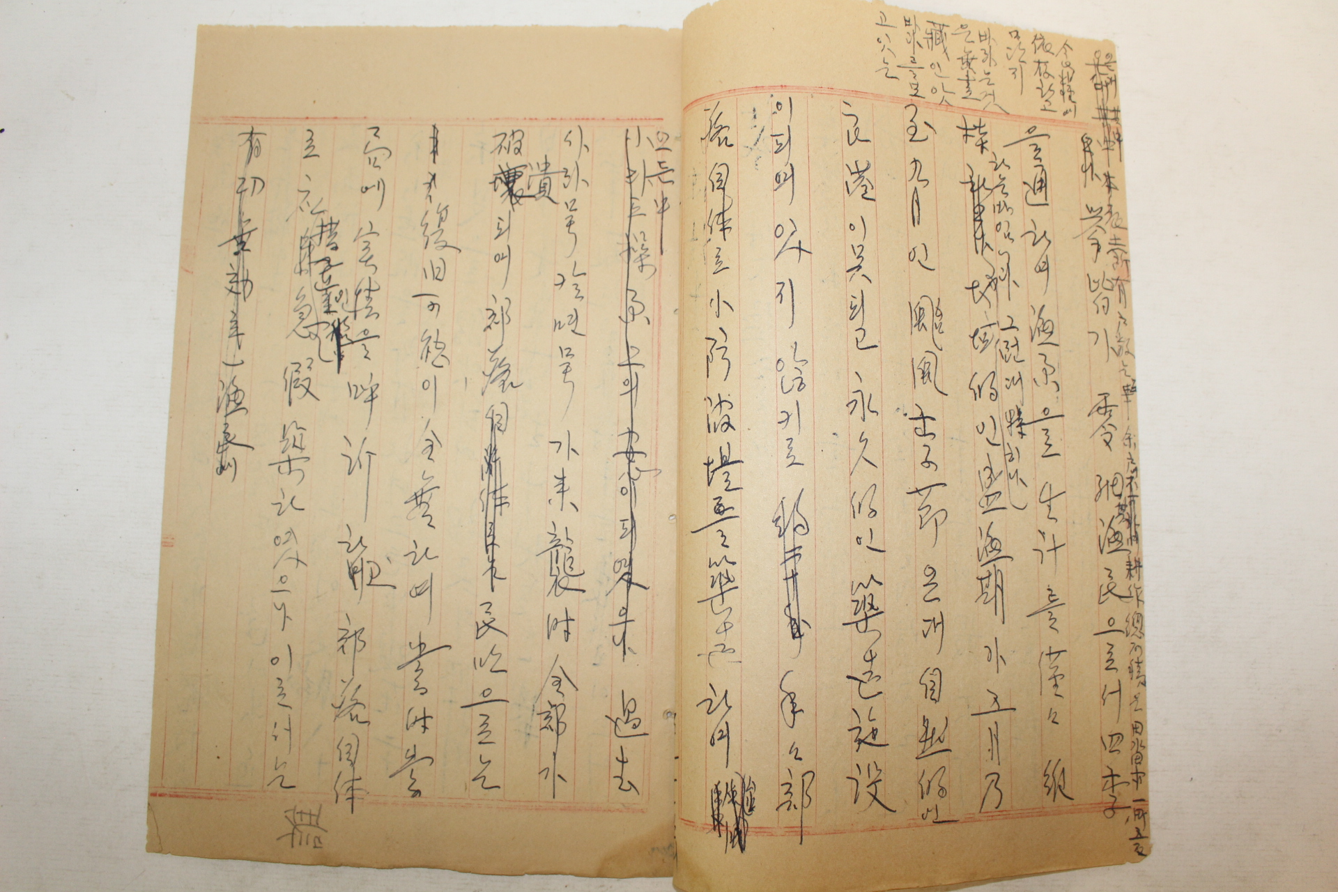 1962년 청산도 진정서