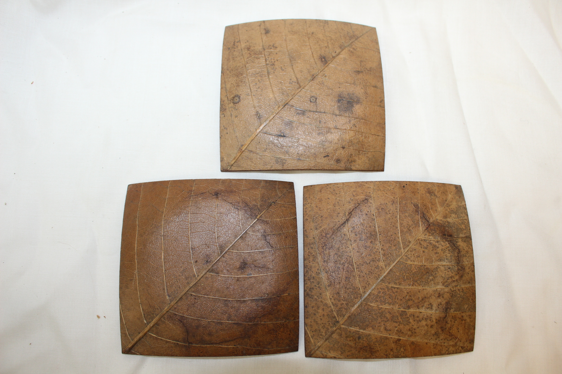 실제 나뭇잎으로된 사각완 3점