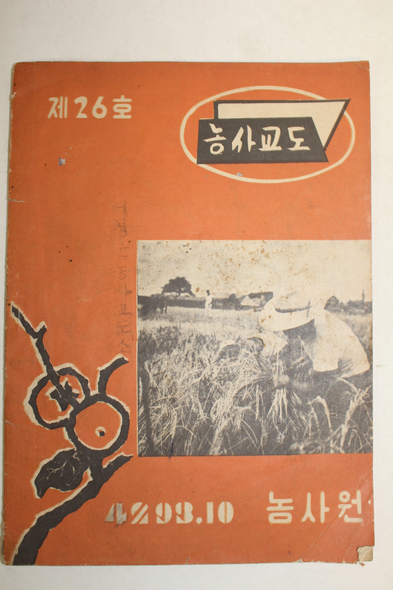 1960년(단기4293년) 농사교도 제26호