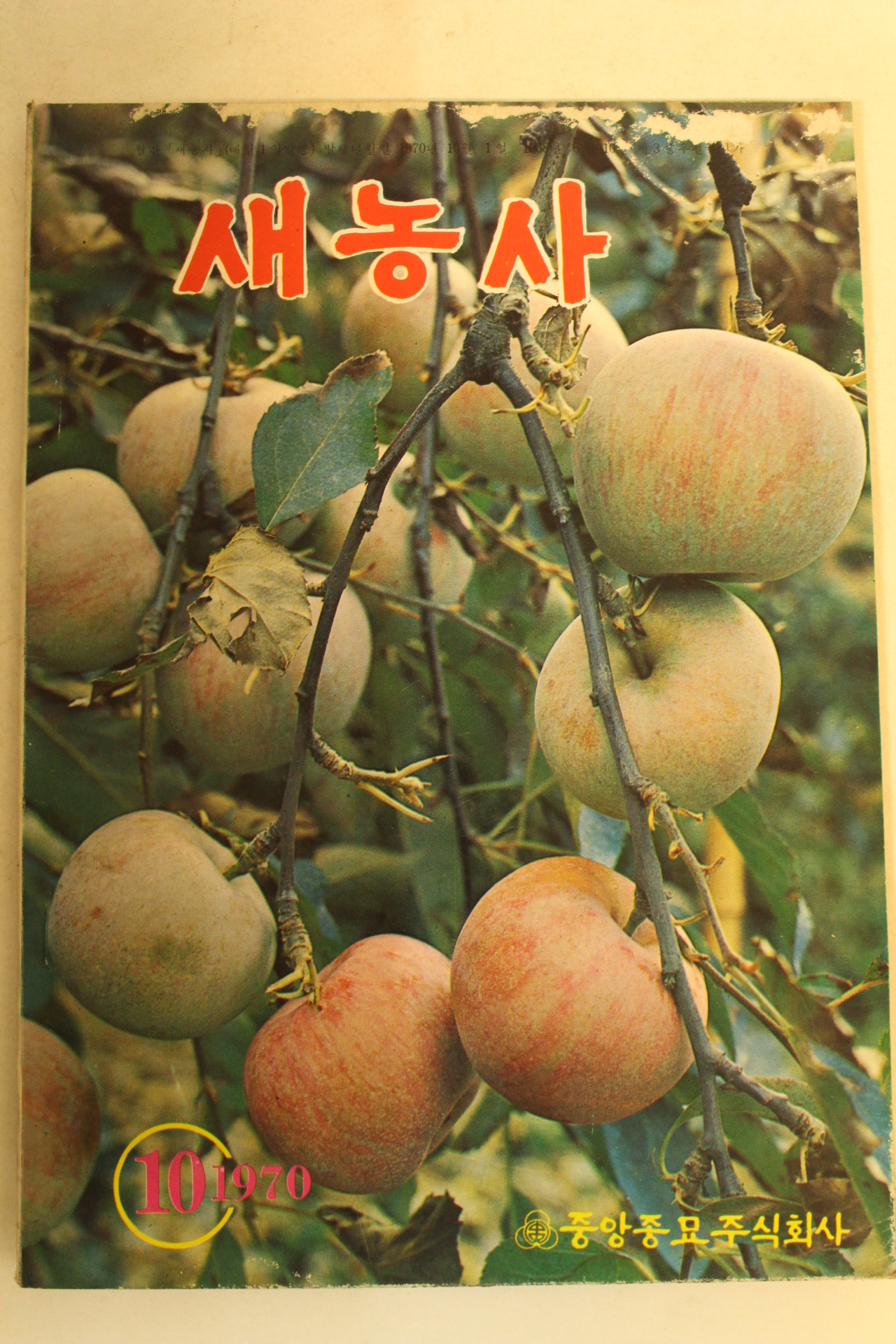 1970년 새농사 10월호