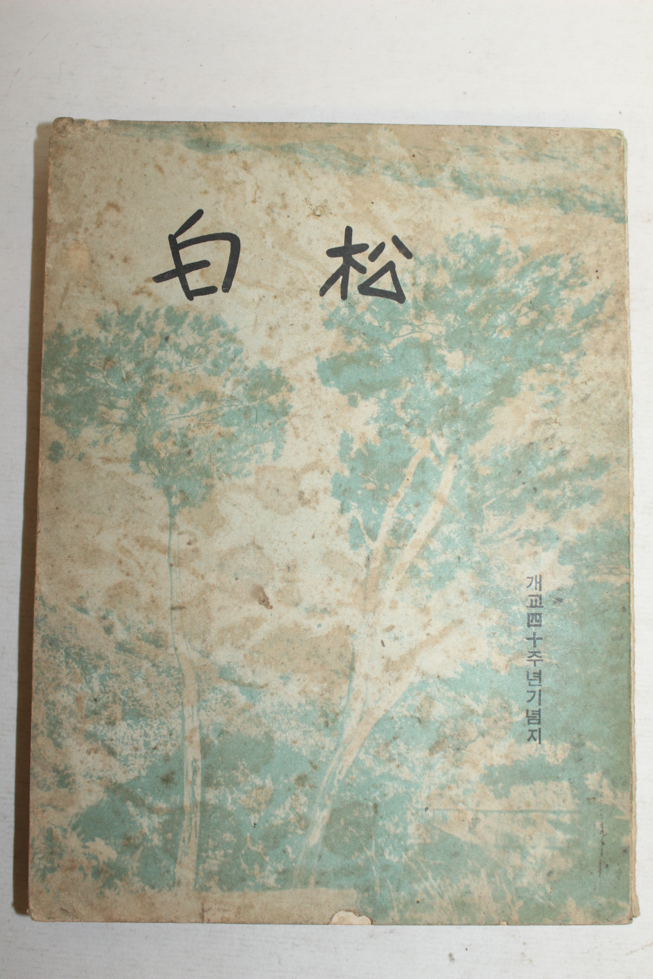 1963년 밀양실업고등학교 백송