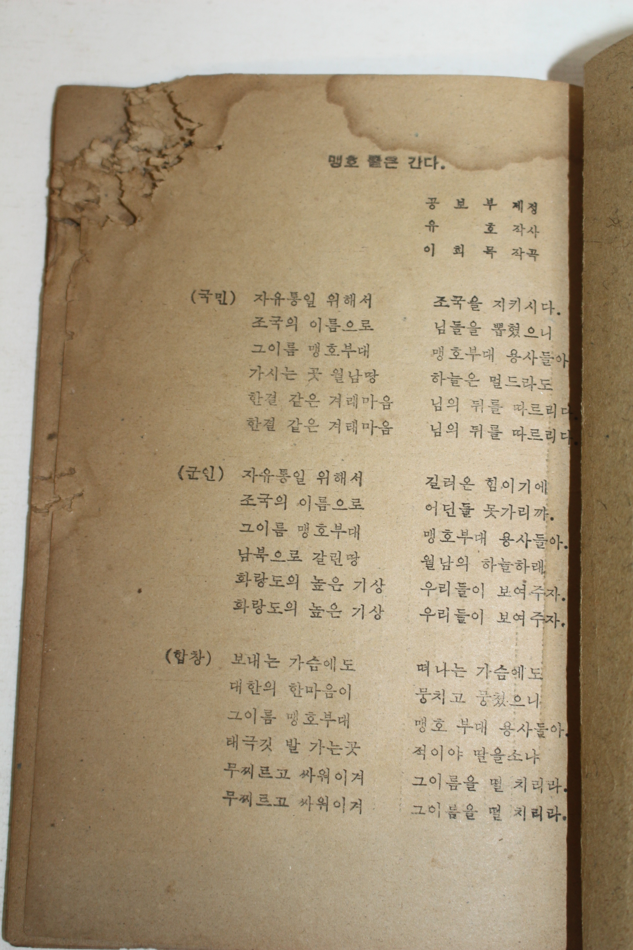 1966년 맹호부대와 청룡부대