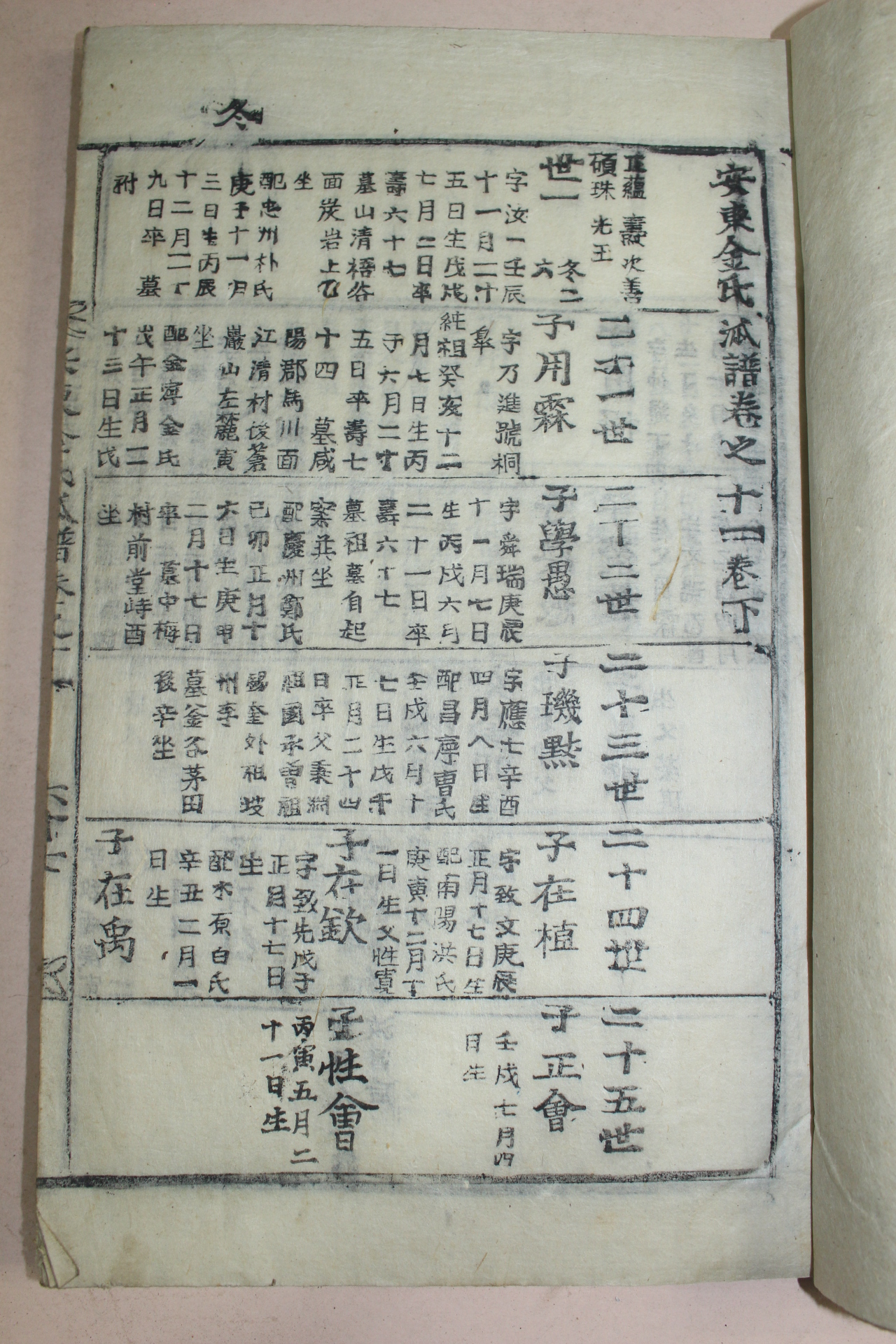 조선시대 목활자본 안동김씨파보(安東金氏派譜)권11  1책