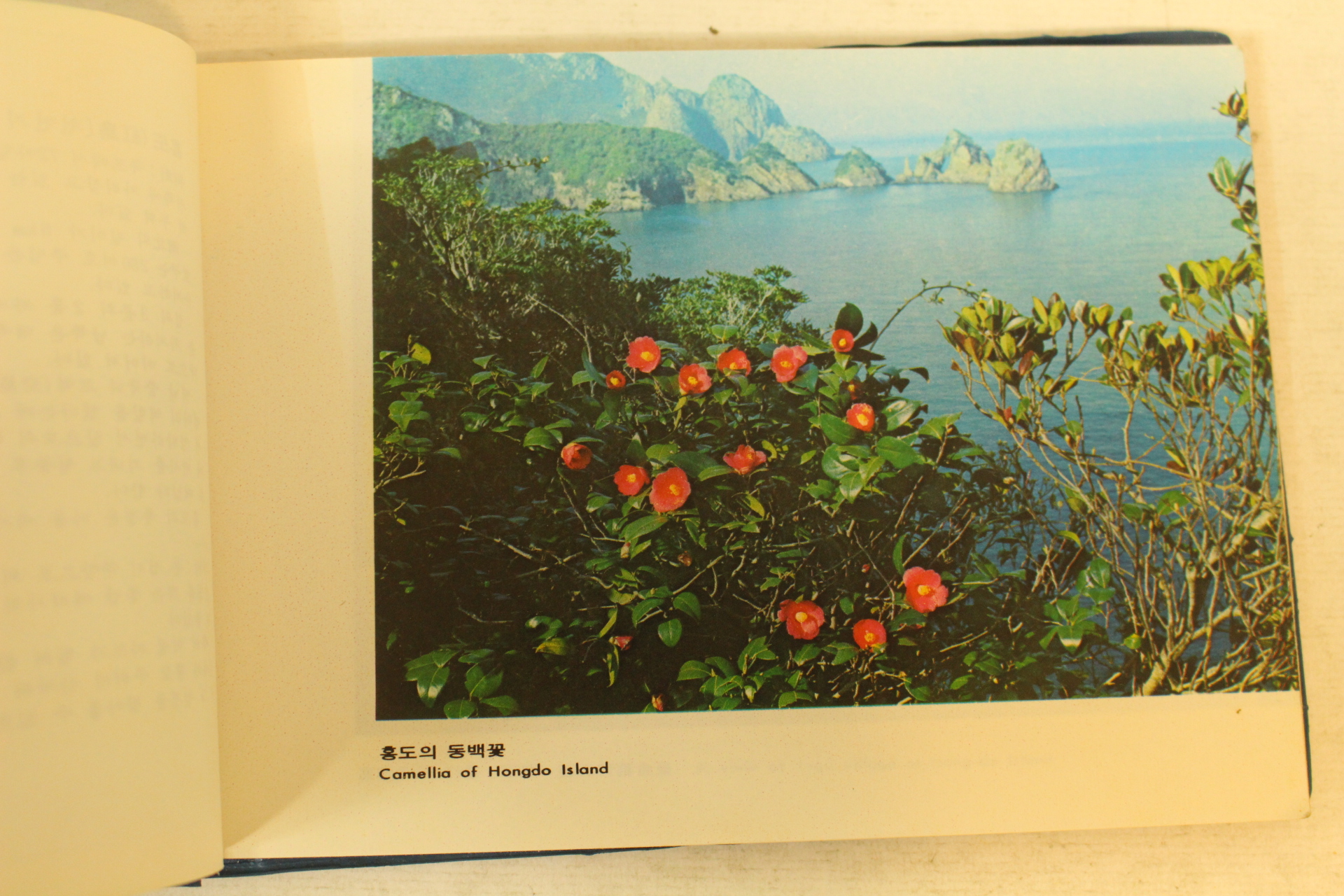 1979년 홍도흑산도 관광기념