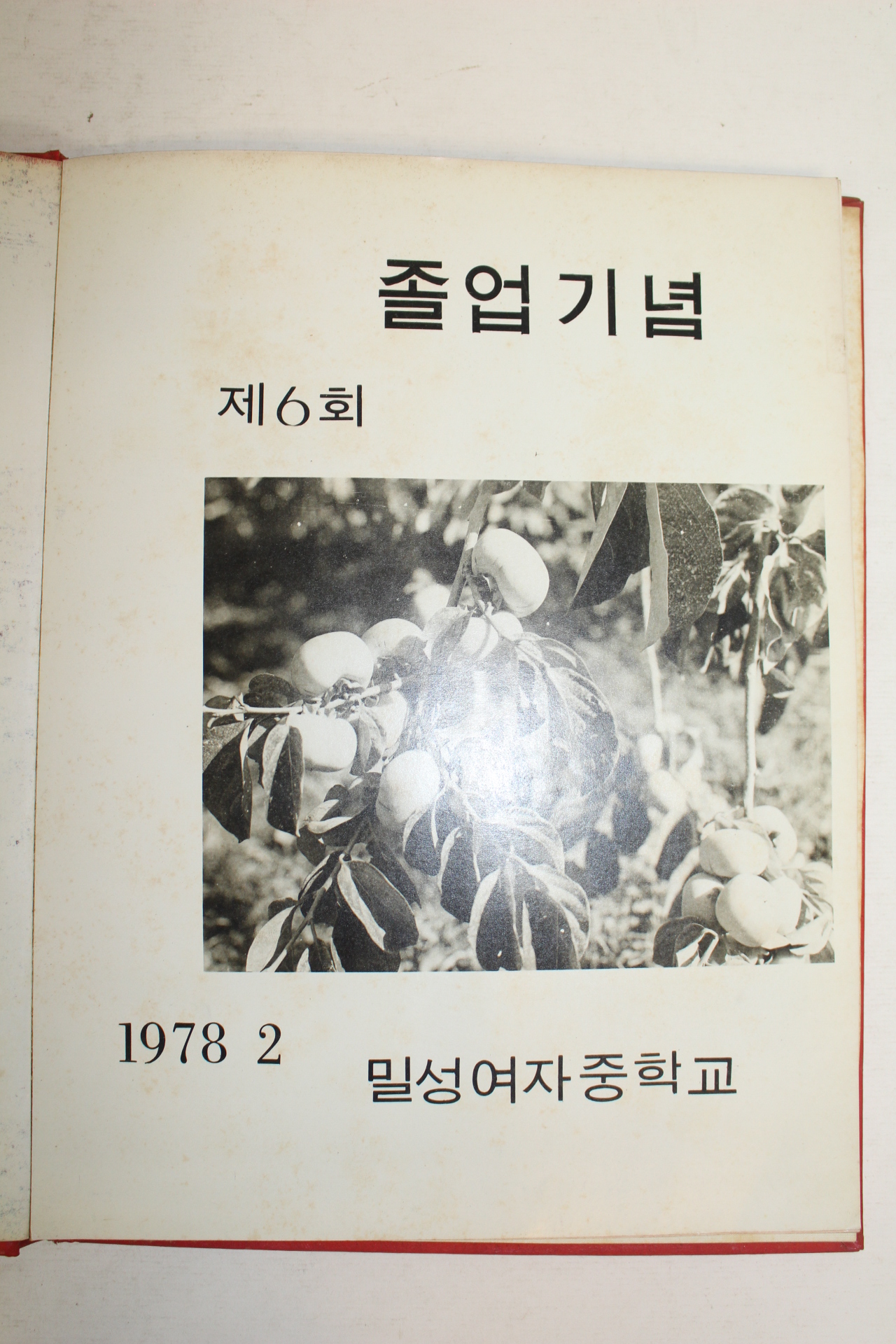 1978년 밀성여자중학교 제6회 졸업기념 앨범