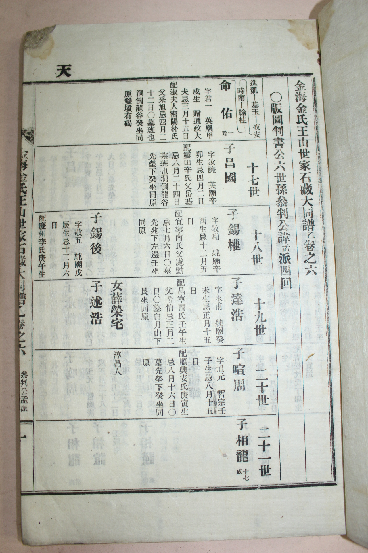 1925년 김해김씨왕산세가석장대동보(金海金氏王山世家石藏大同譜) 8책