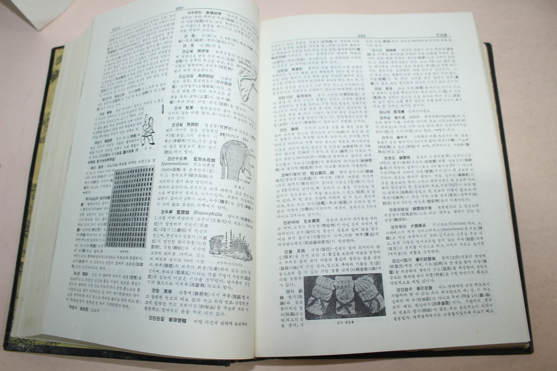 1958년 학원사 대백과사전 8책