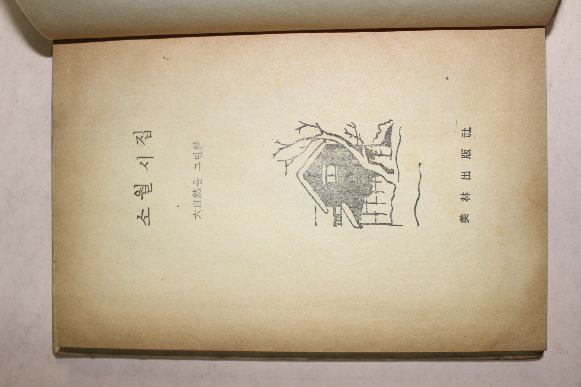 1973년 소월시집