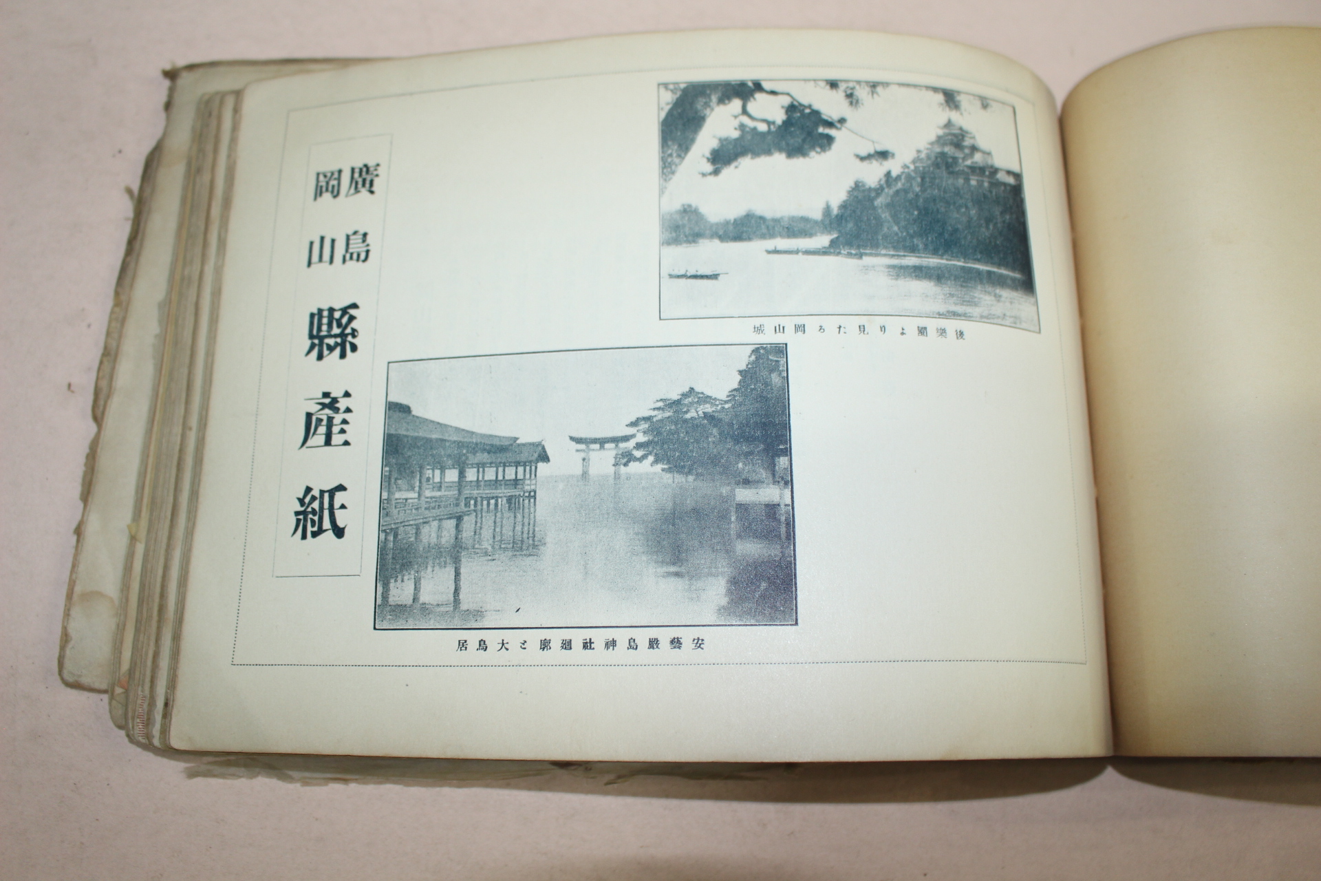 1925년(대정14년) 일본간행 상점안내 1책