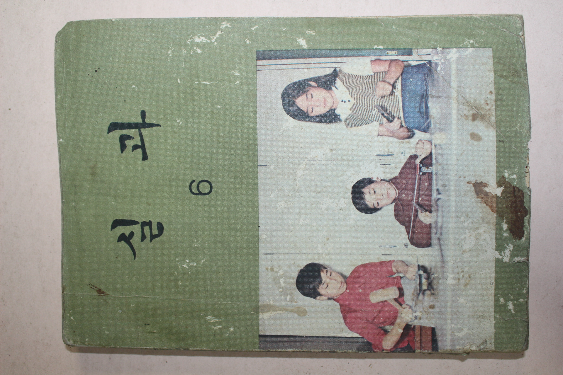 1976년 실과 6