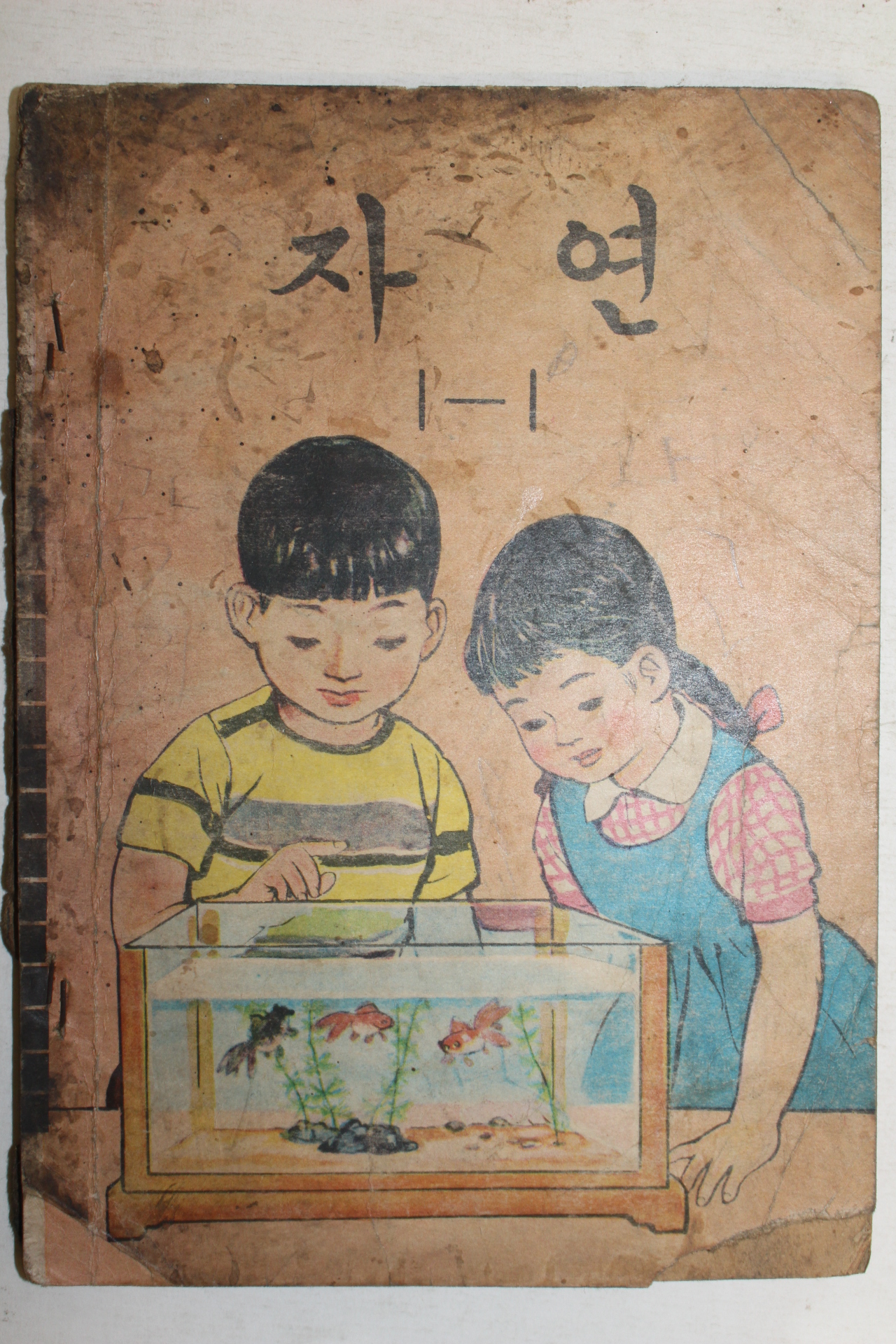 1969년 자연 1-1