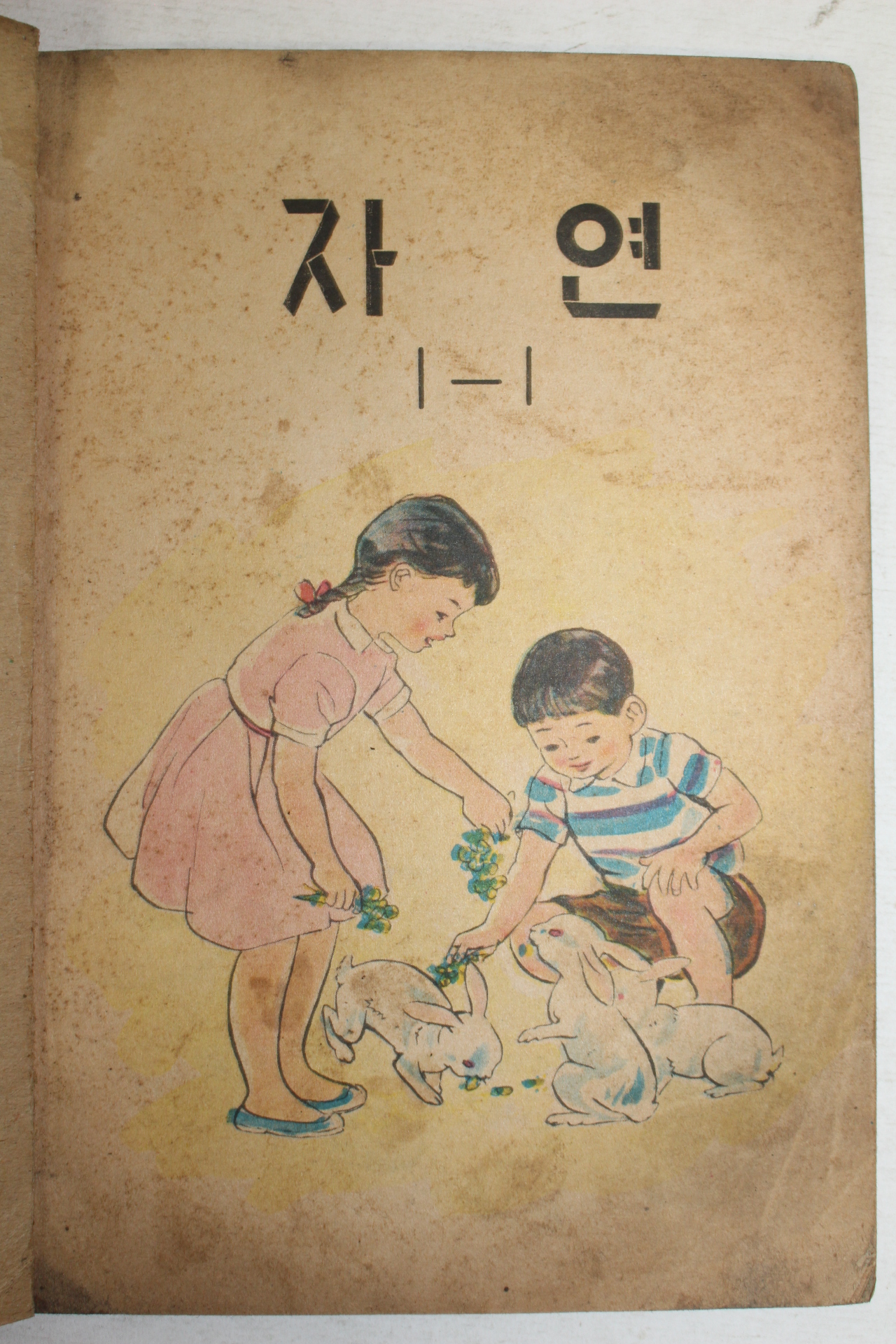 1969년 자연 1-1