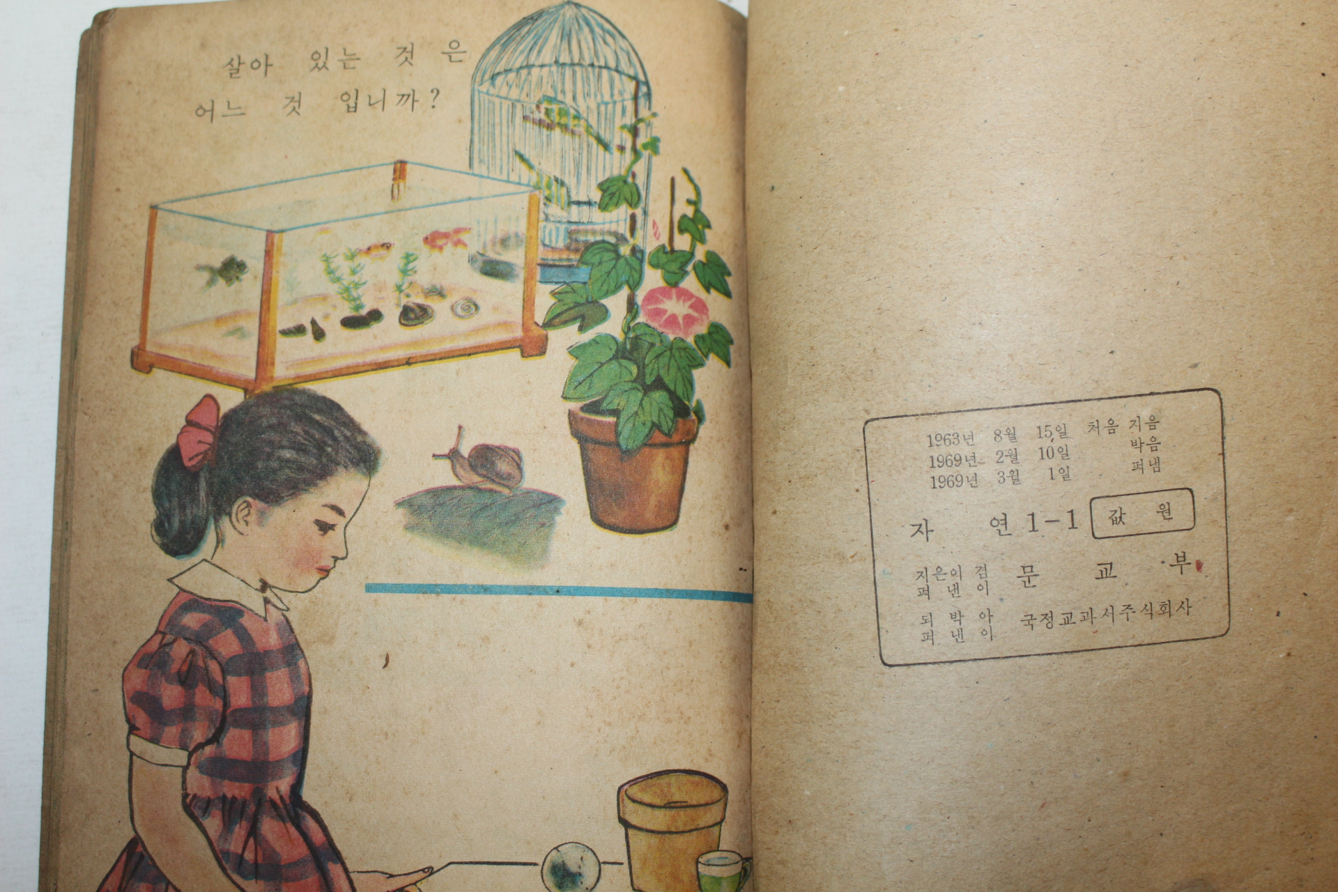 1969년 자연 1-1