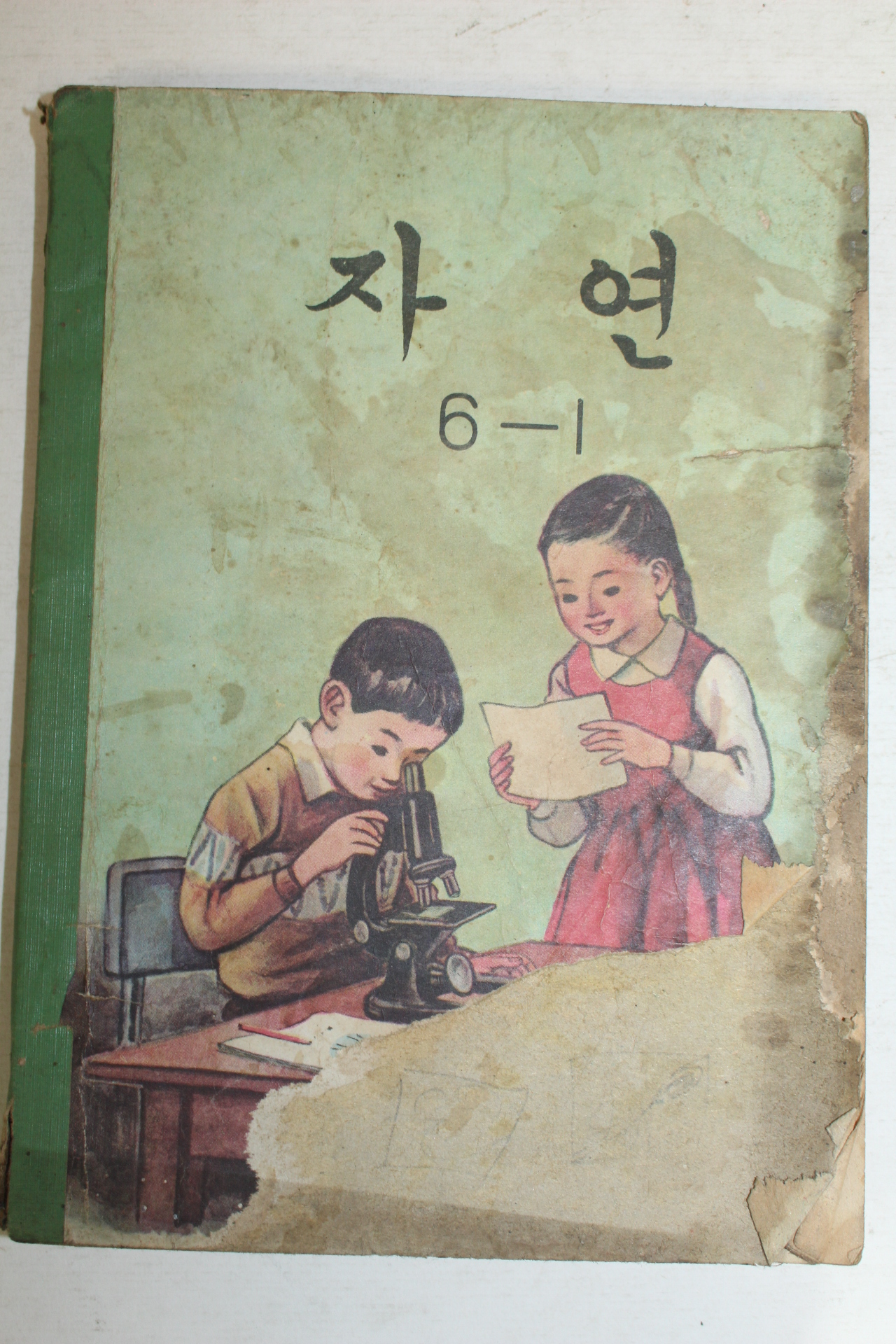 1971년 자연 6-1