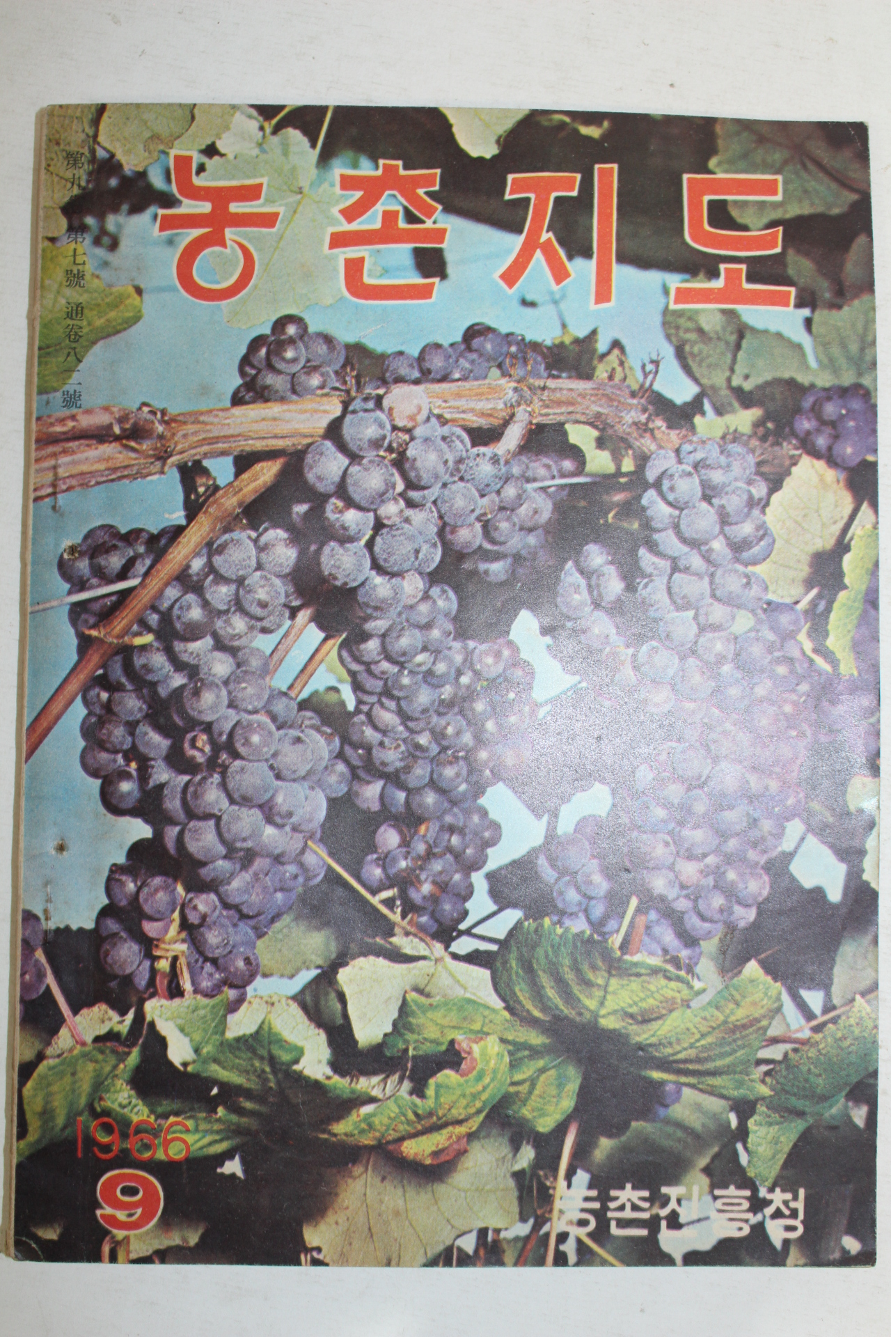1966년 농촌지도 9월호