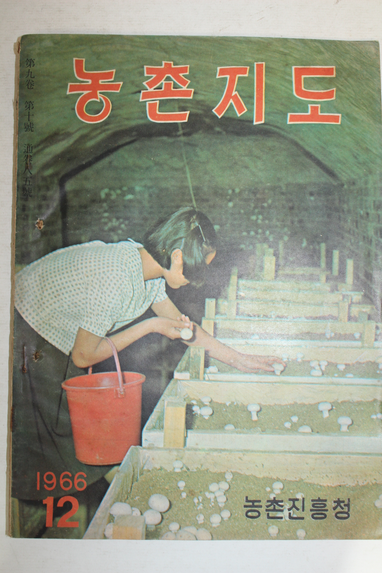 1966년 농촌진흥청 농촌지도 12월호