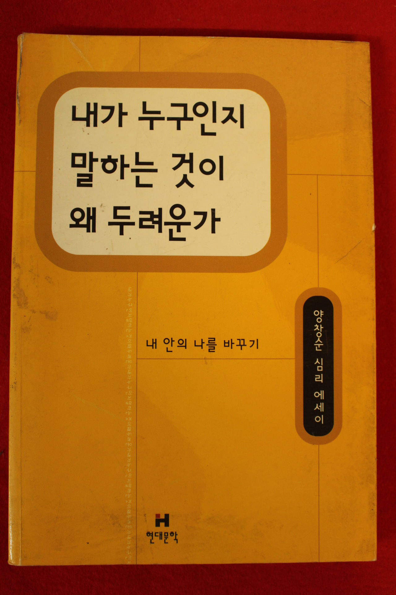 1999년 양창순 내가 누구인지 말하는 것이 왜 두려운가