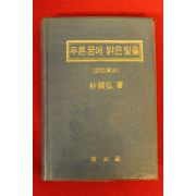 1979년 박석홍(朴錫弘) 푸른꿈에 밝은 빛을