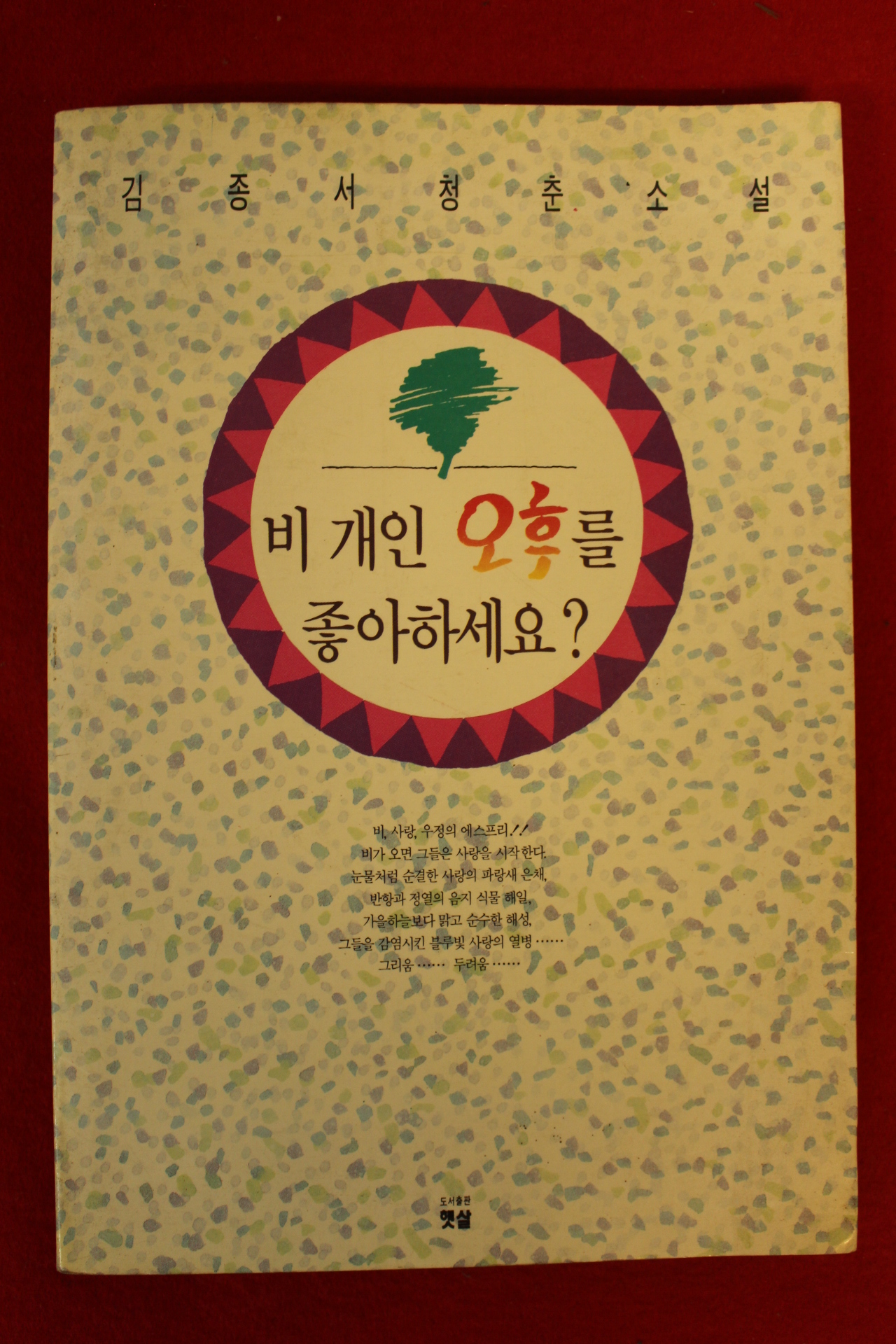 1991년초판 김종서청춘소설 비개인 오후를 좋아하세요