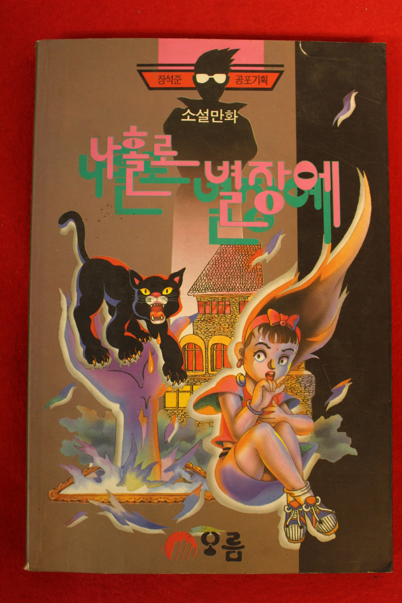 1993년 소설만화 나홀로 별장에
